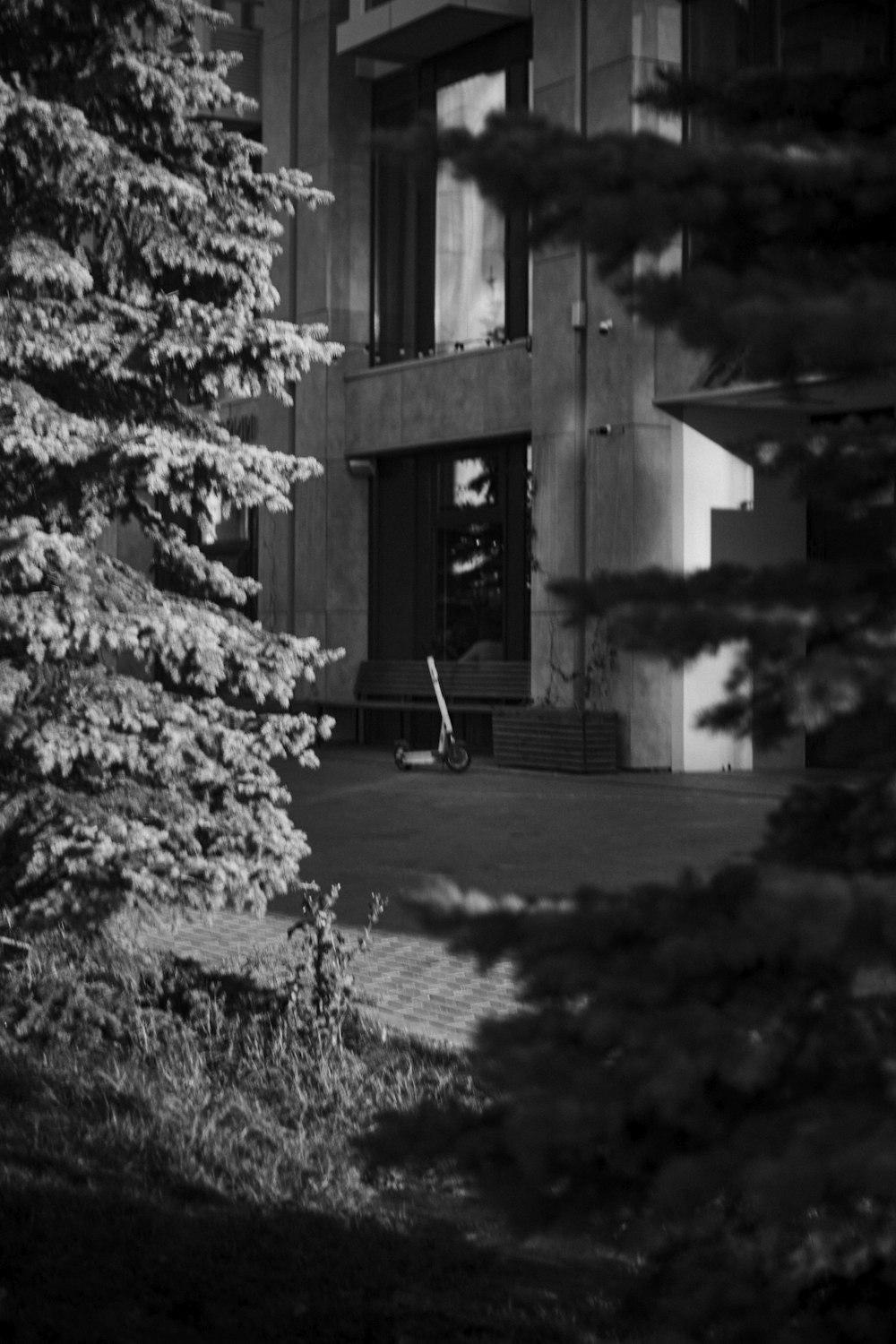 a black and white photo of a building and trees