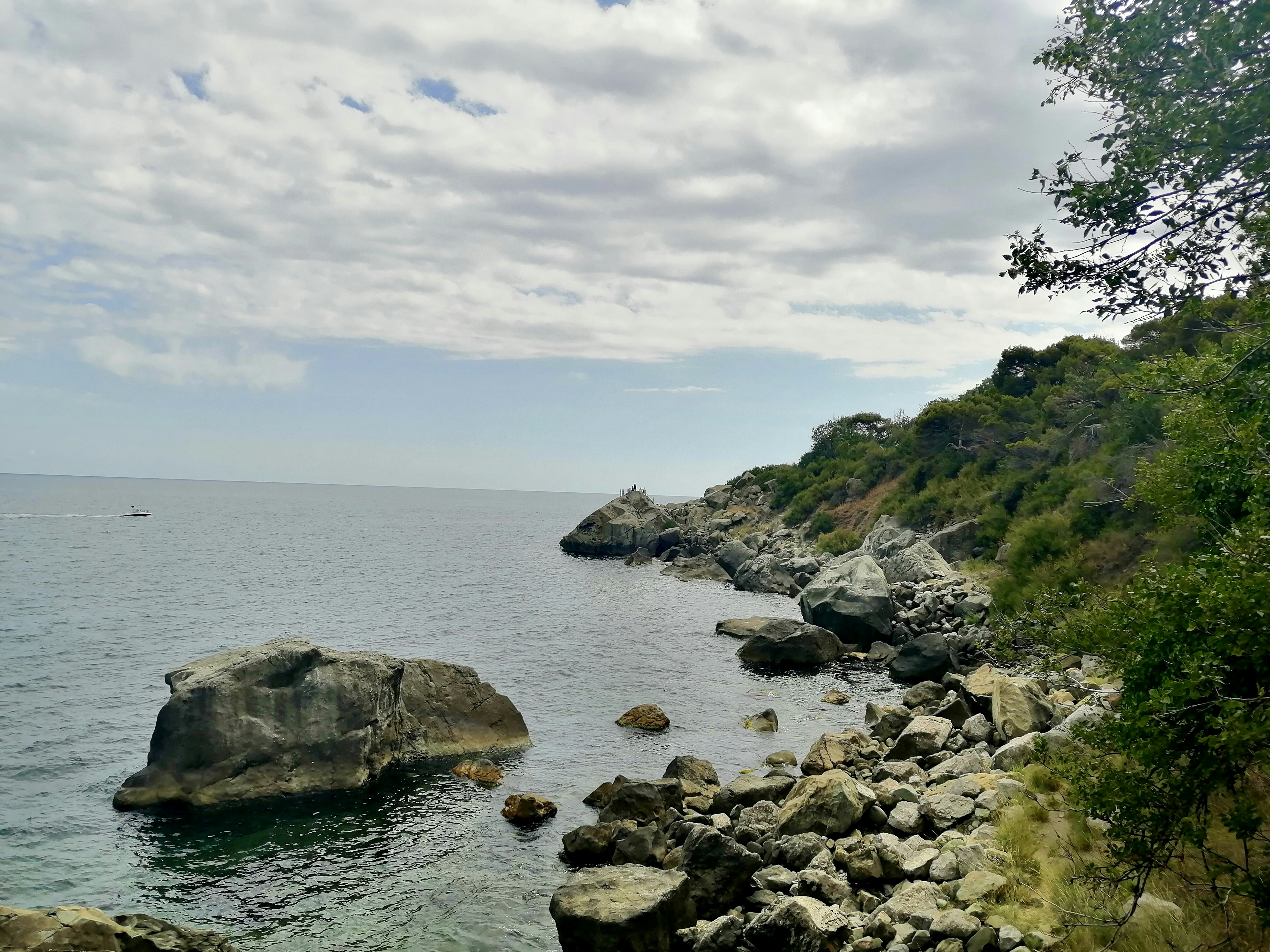 Photo by katrin_bloom