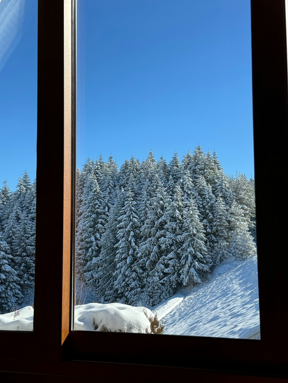 a view out a window of a snowy forest