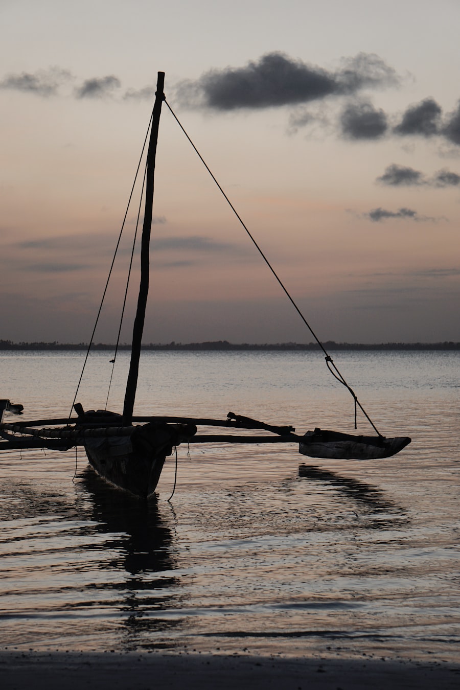 Safari com Acampamento, Savana e Índico