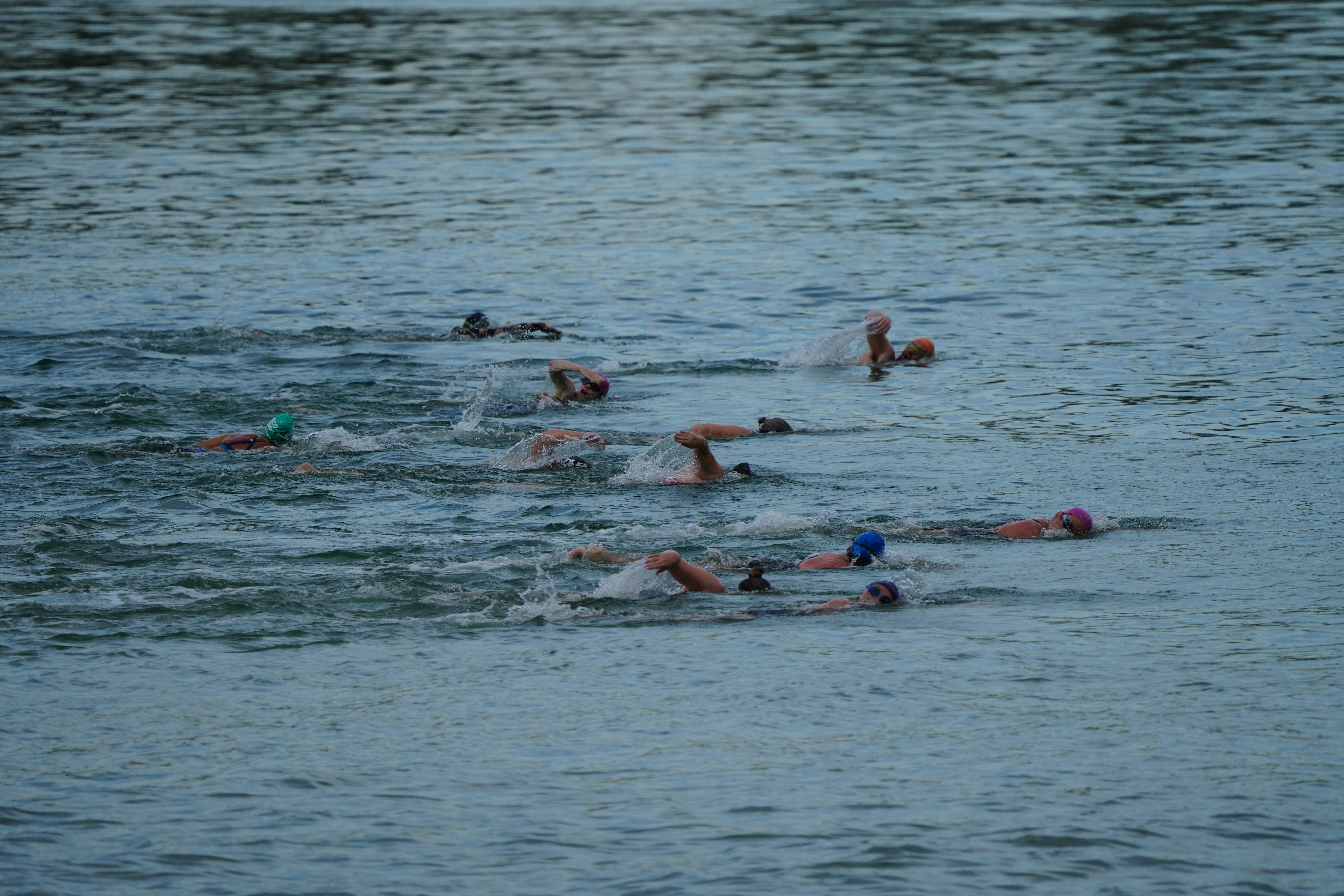 a group of people swimming in a body of water