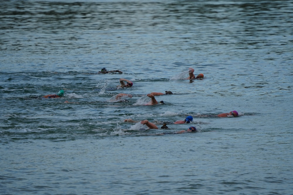un groupe de personnes nageant dans un plan d’eau