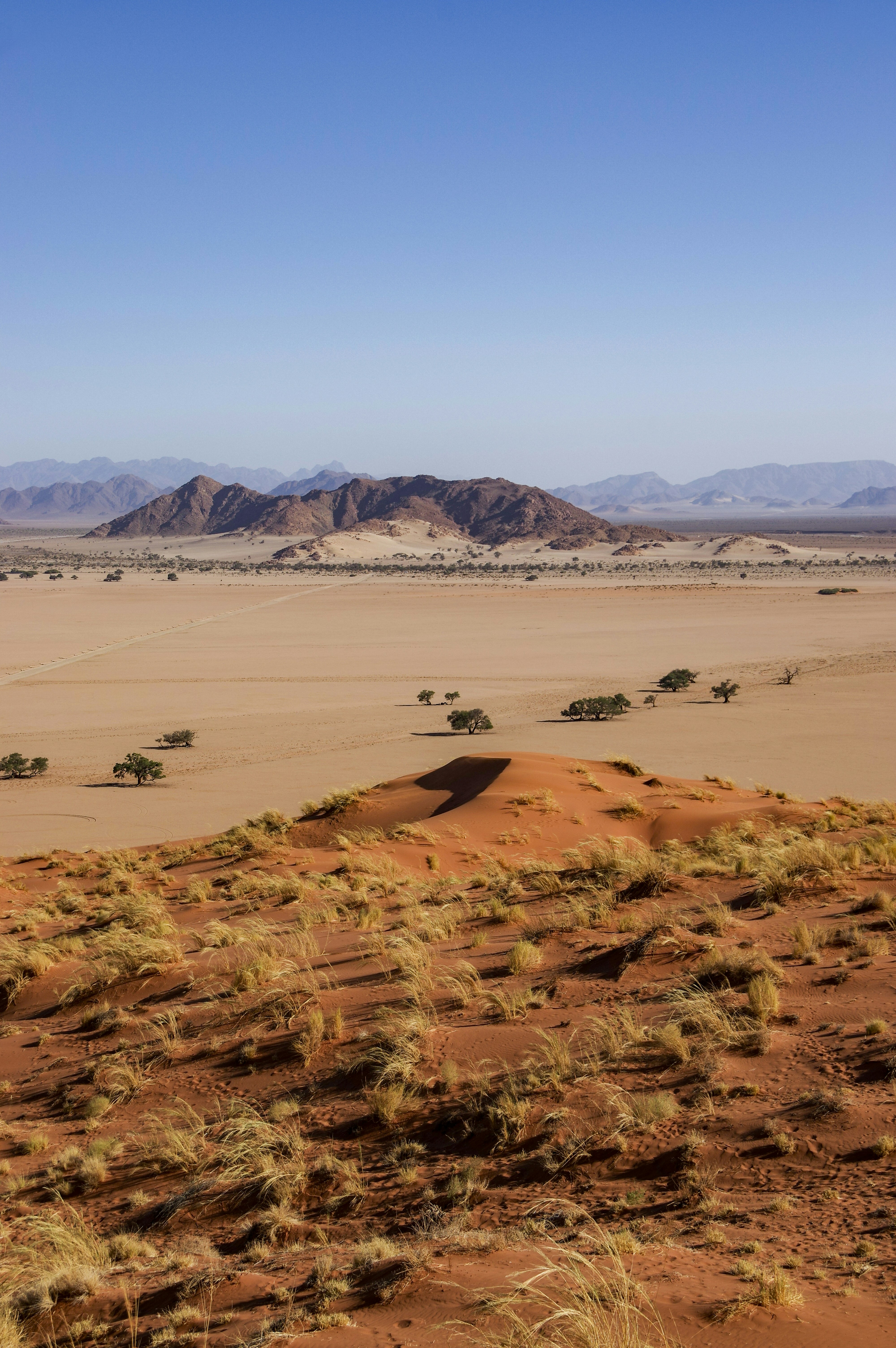 a view of a desert with mountains in the distance