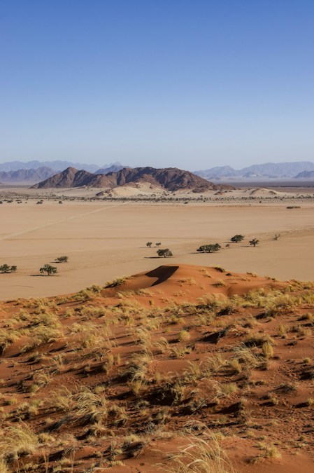 Un désert aride bordé de montagnes, paysage d'illustration évoquant les abords du Namibe, où vivent les Ovakuvale