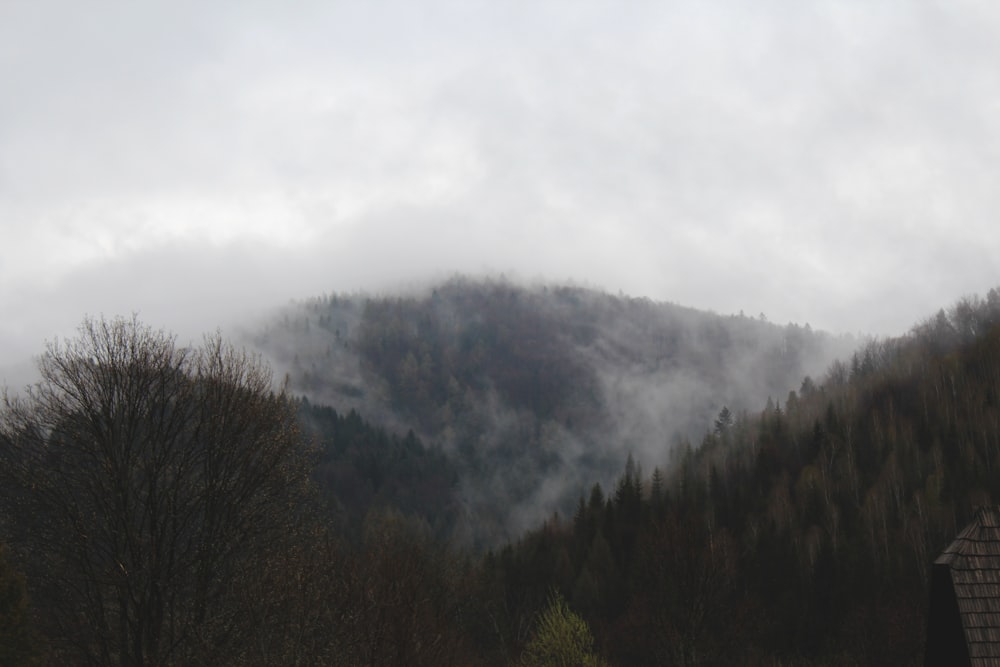 a mountain covered in fog and low lying clouds