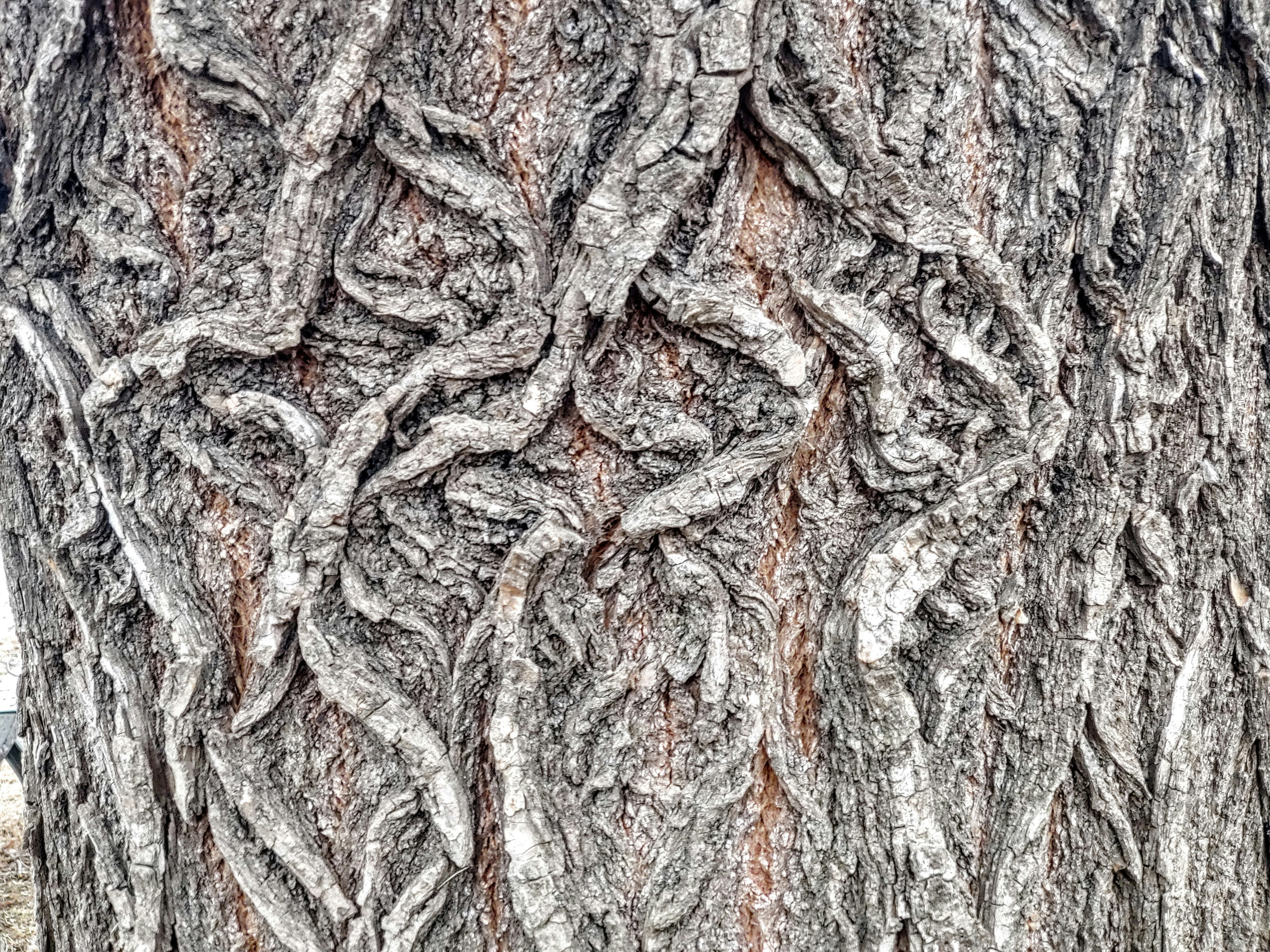 Photo by jujuworld76