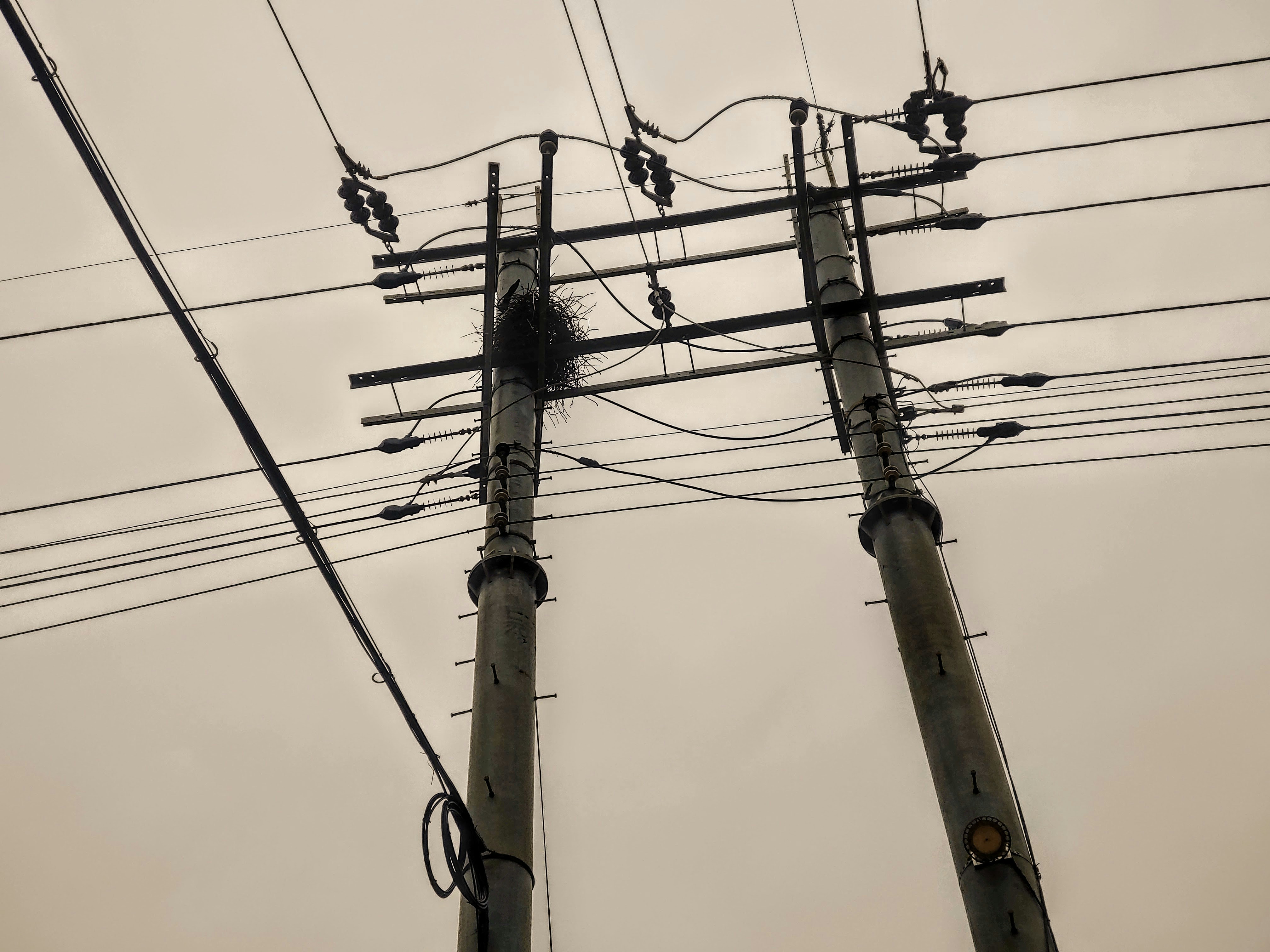 Photo by jujuworld76