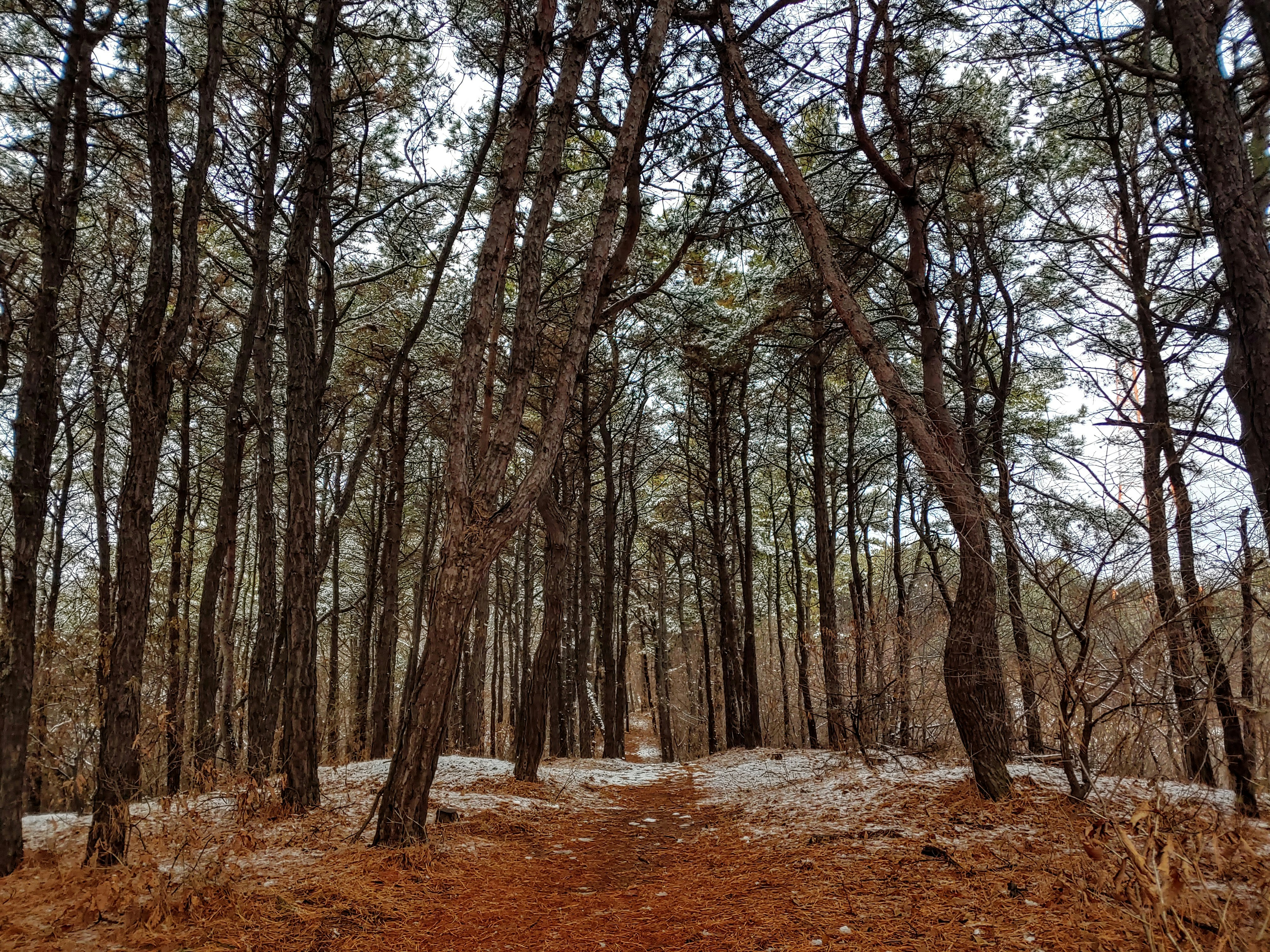 Photo by jujuworld76