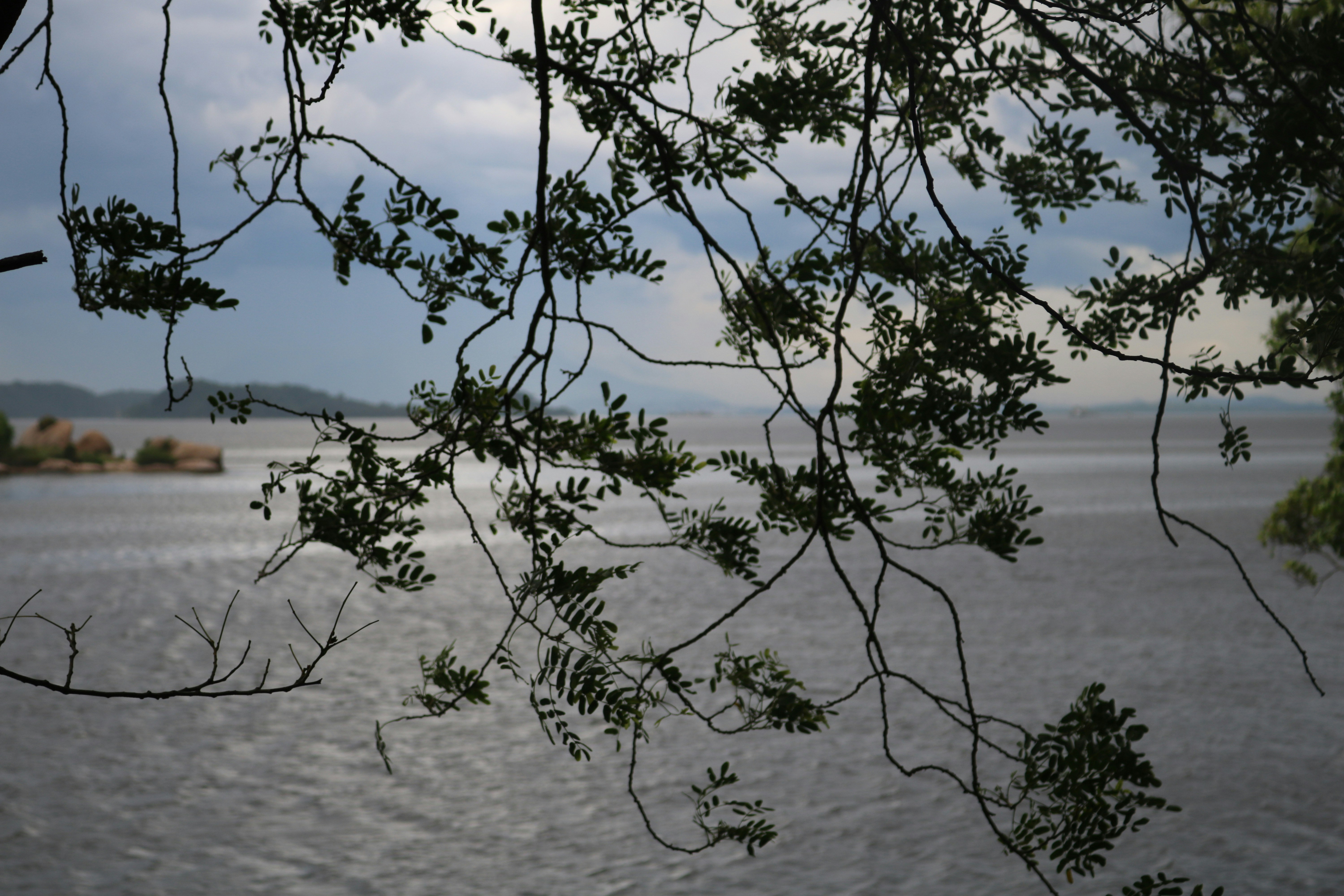 Photo by joeloliveira