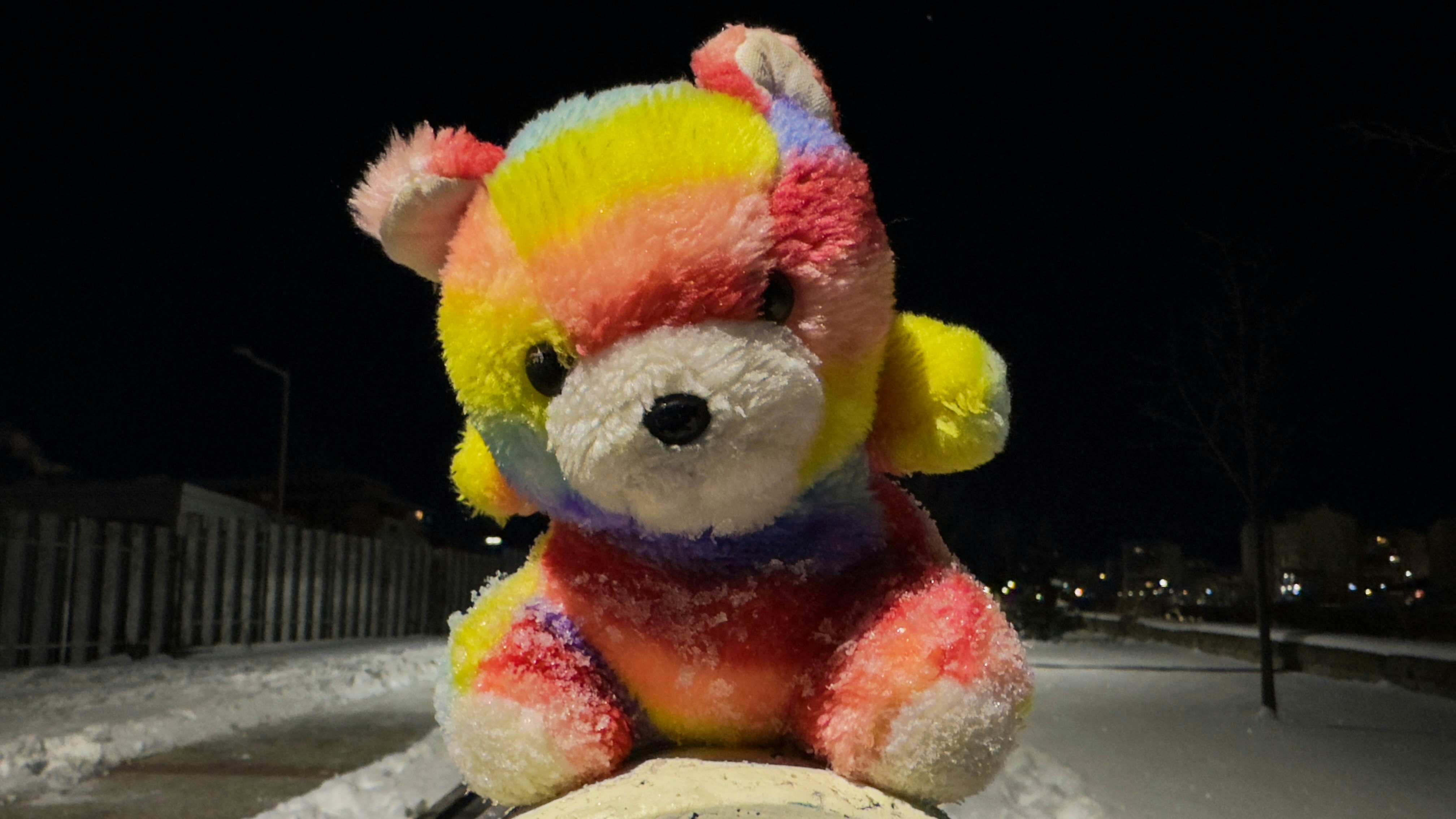 消火栓の上にぬいぐるみが鎮座しています