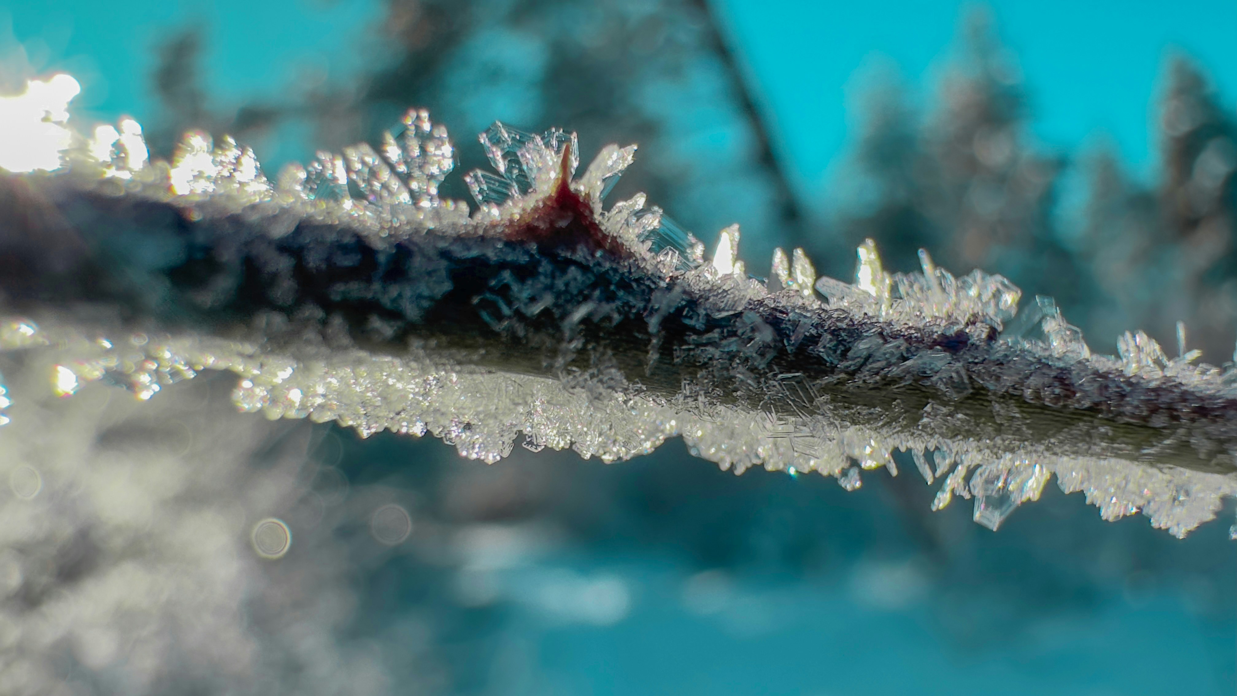 Photo by archange1michael