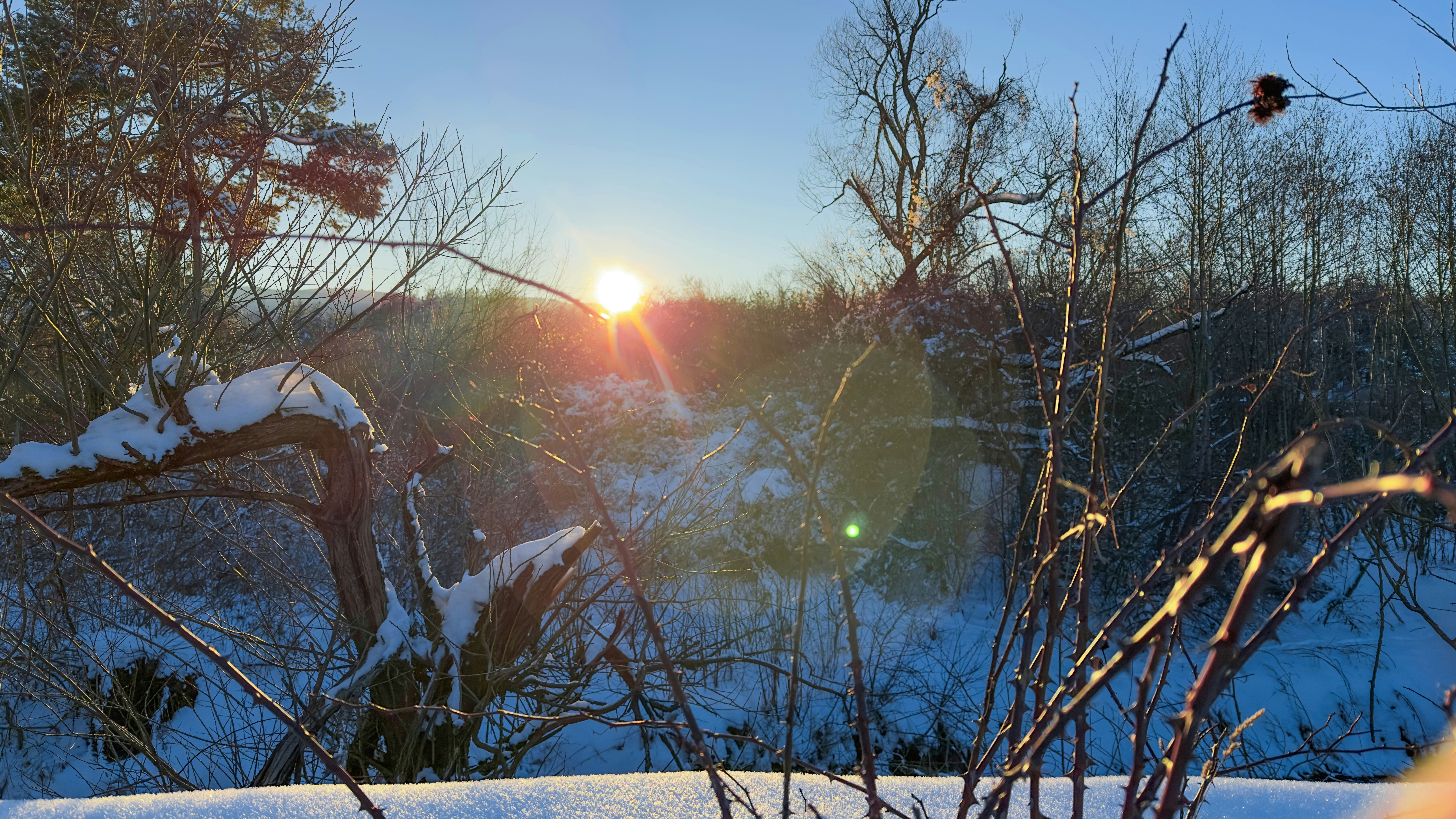 Photo by archange1michael