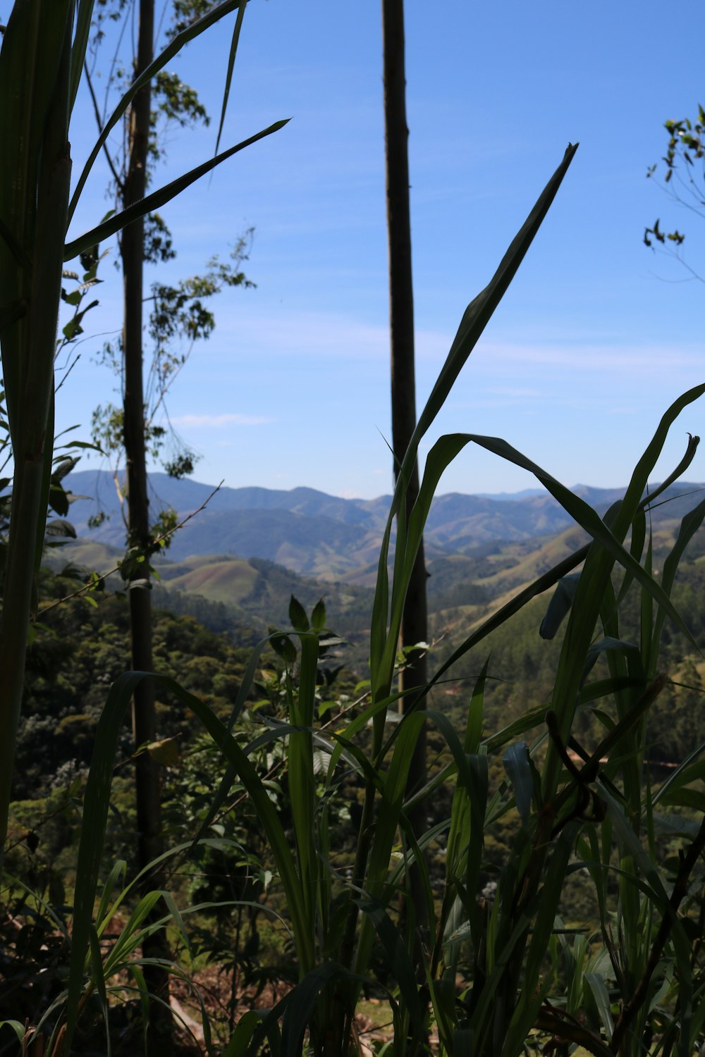 a view of a mountain range from a distance