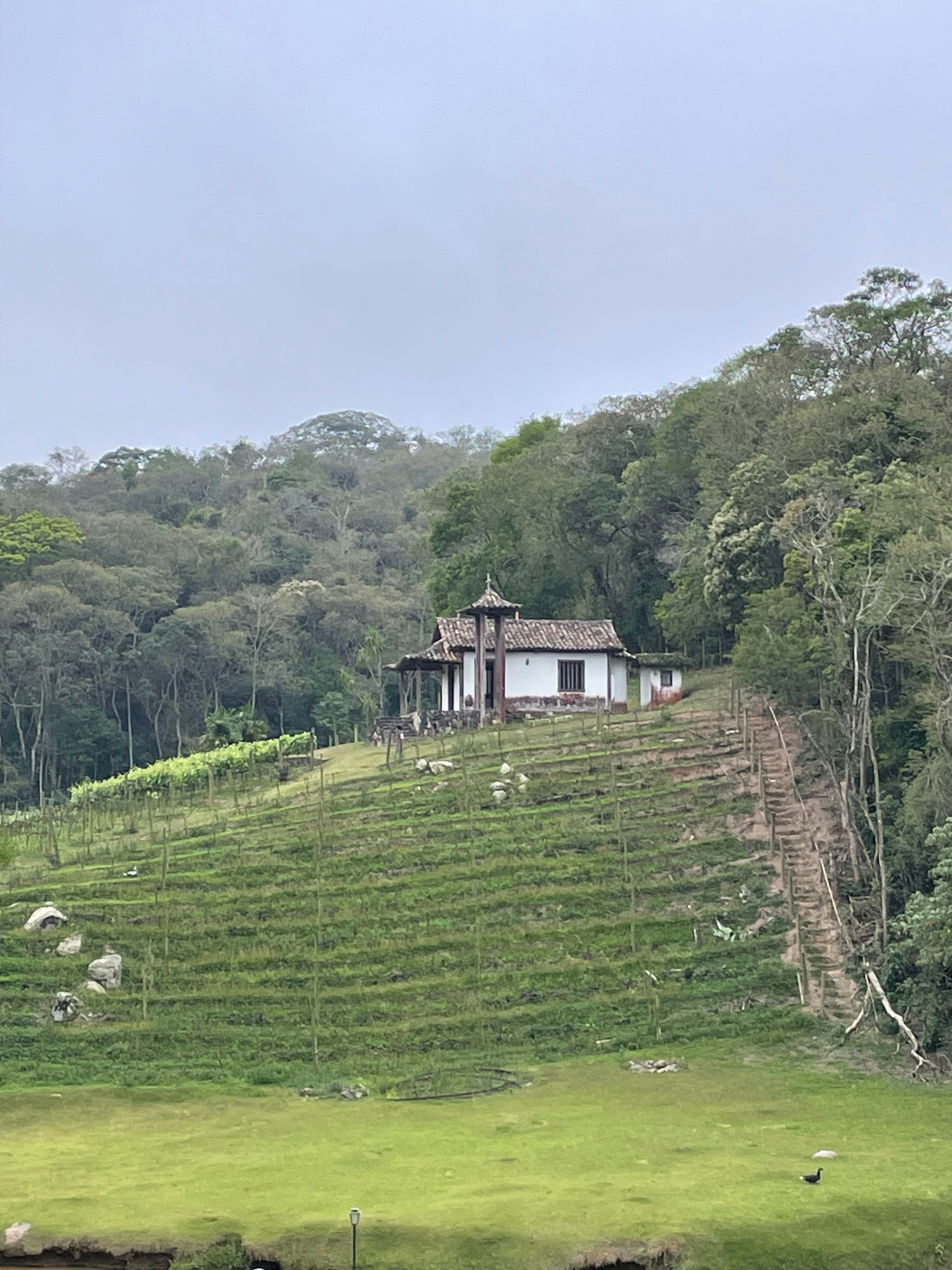 a house sitting on top of a lush green hillside