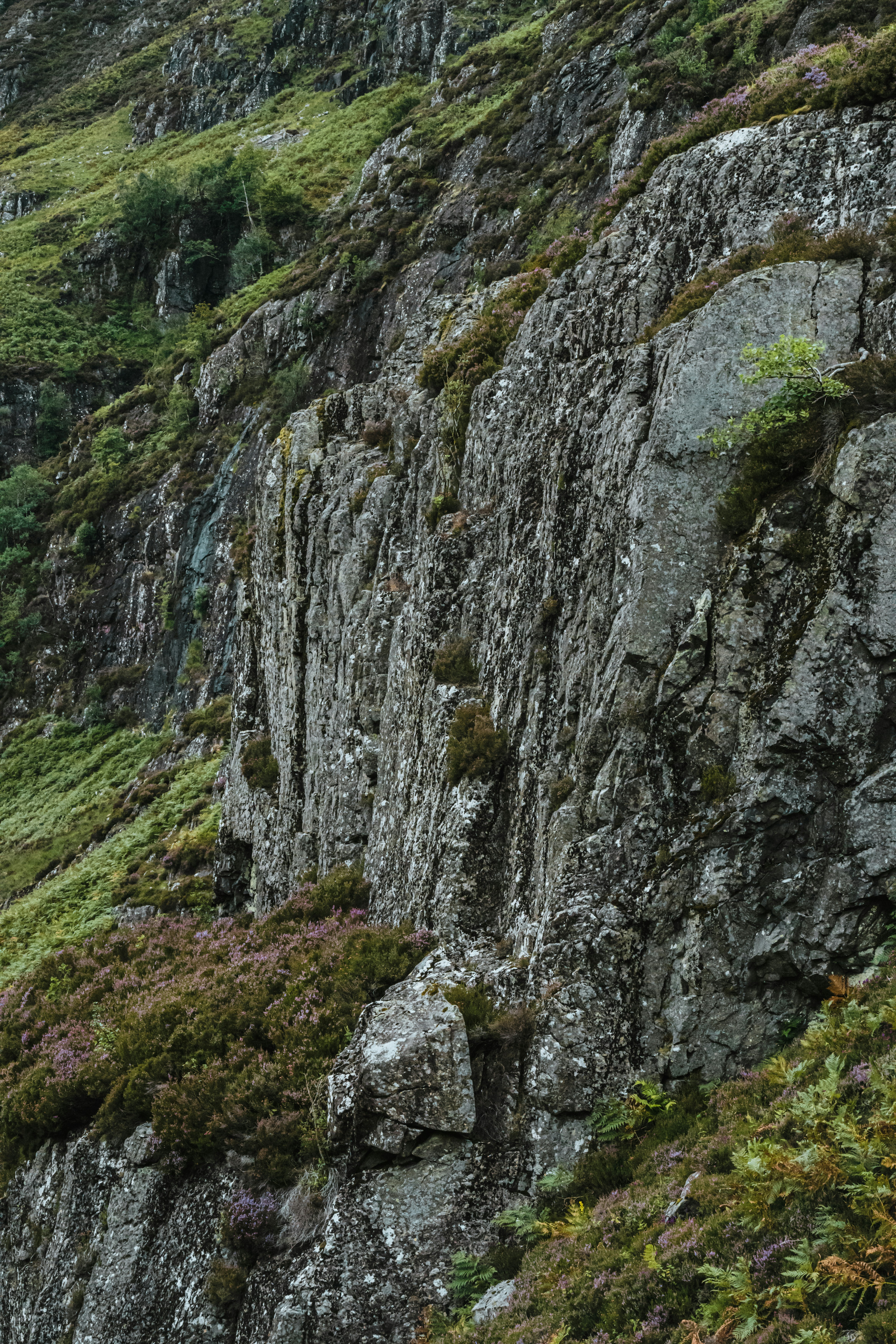 Photo by winstontjia