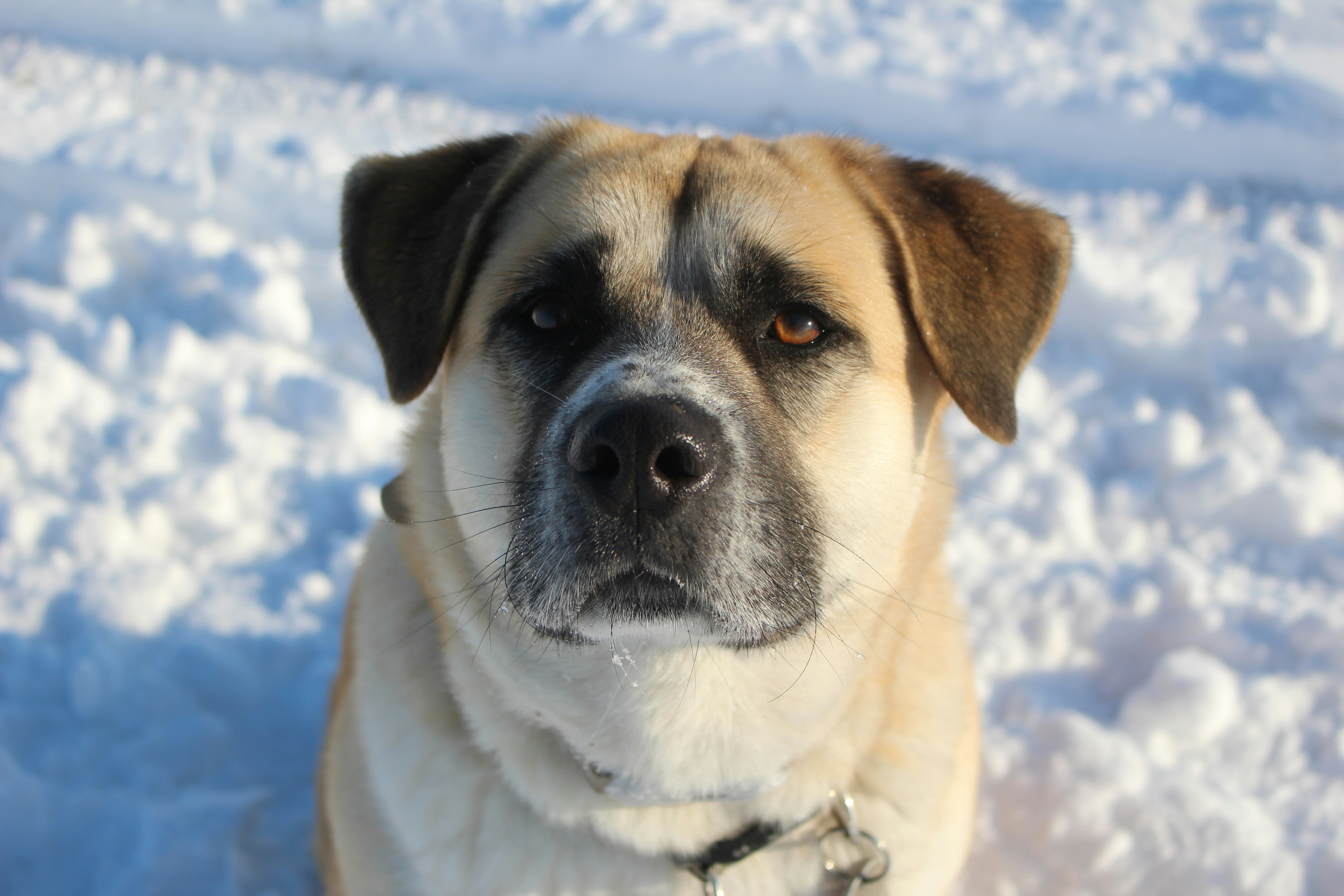 Photo by marjorylucabaxter