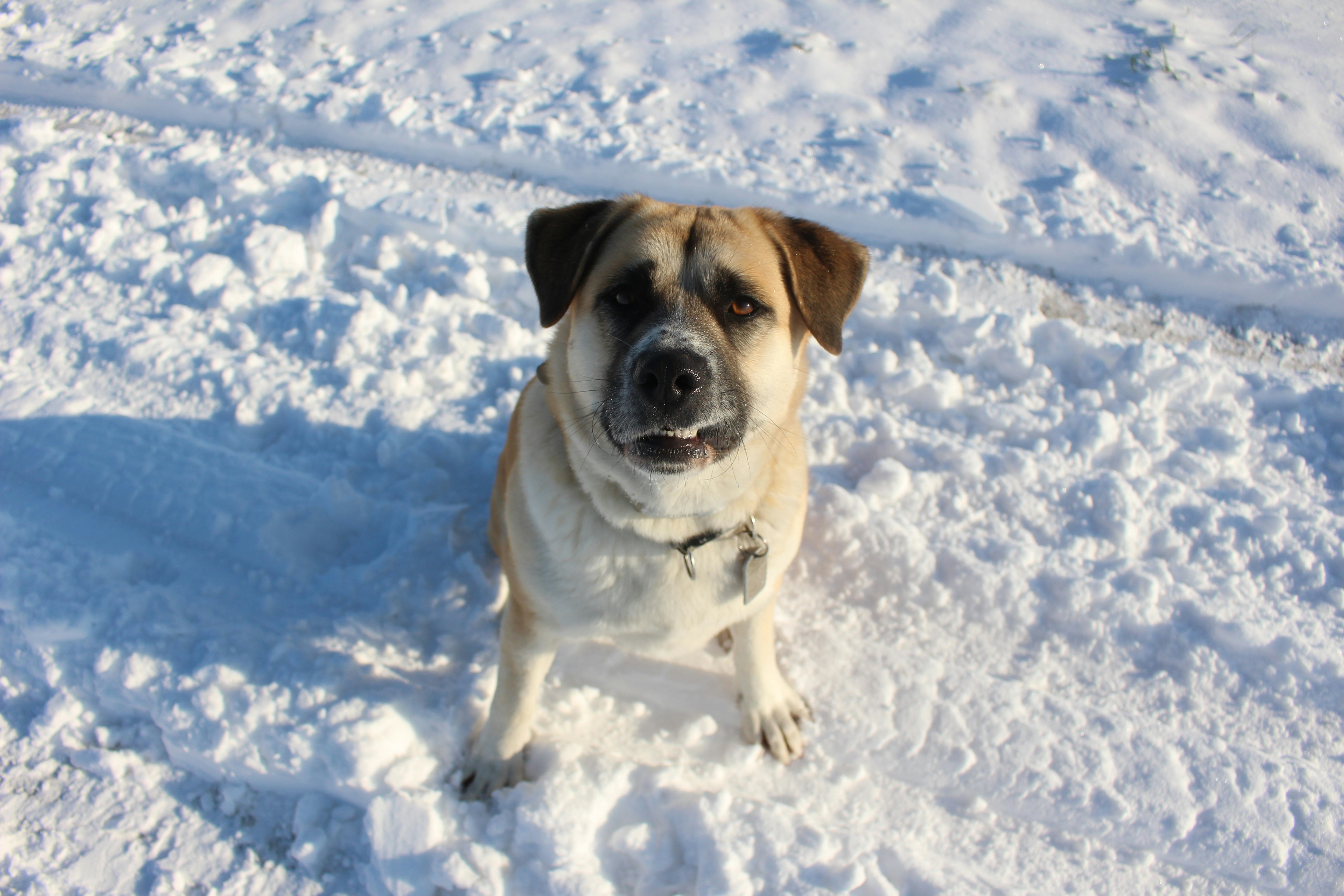 Photo by marjorylucabaxter