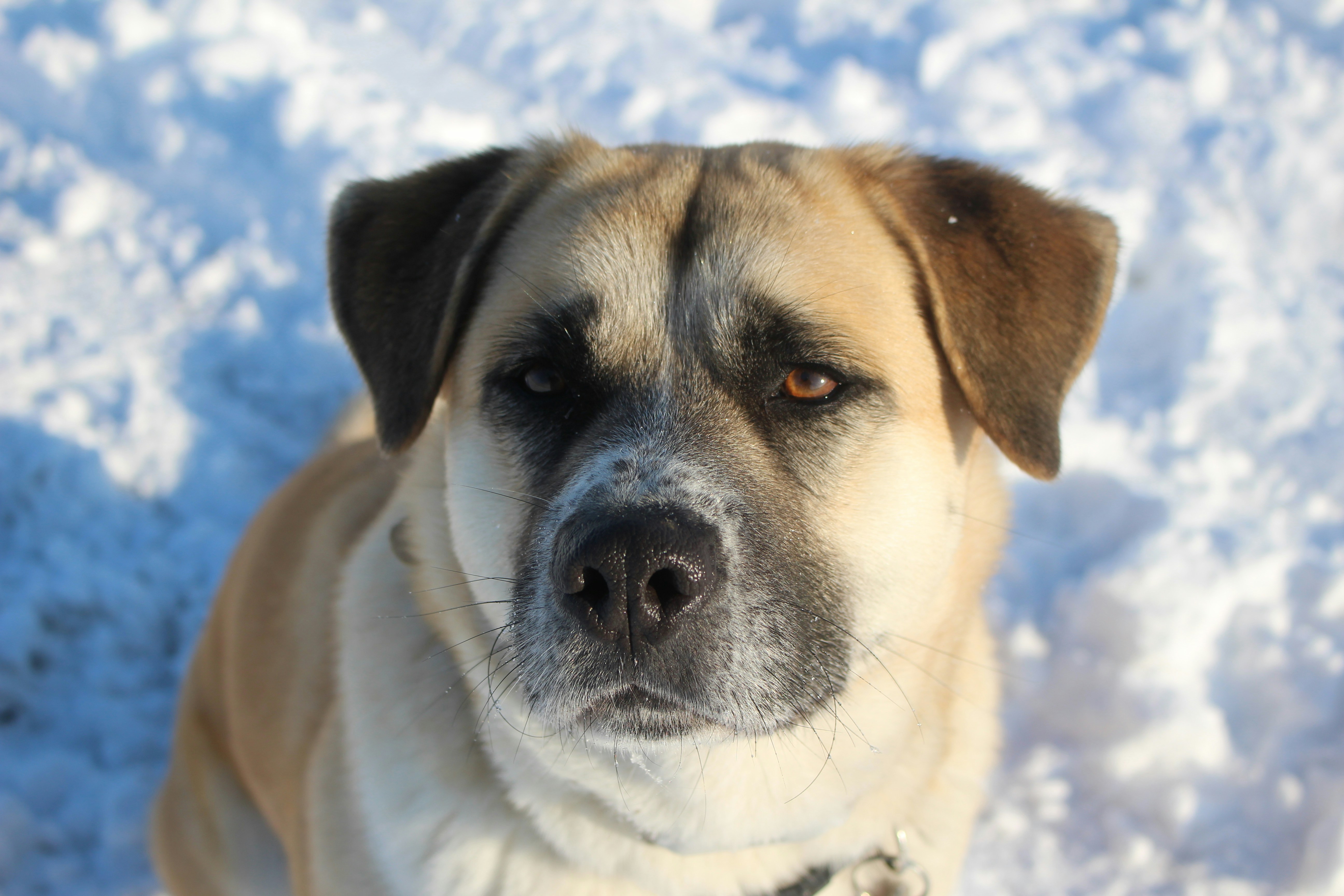 Photo by marjorylucabaxter