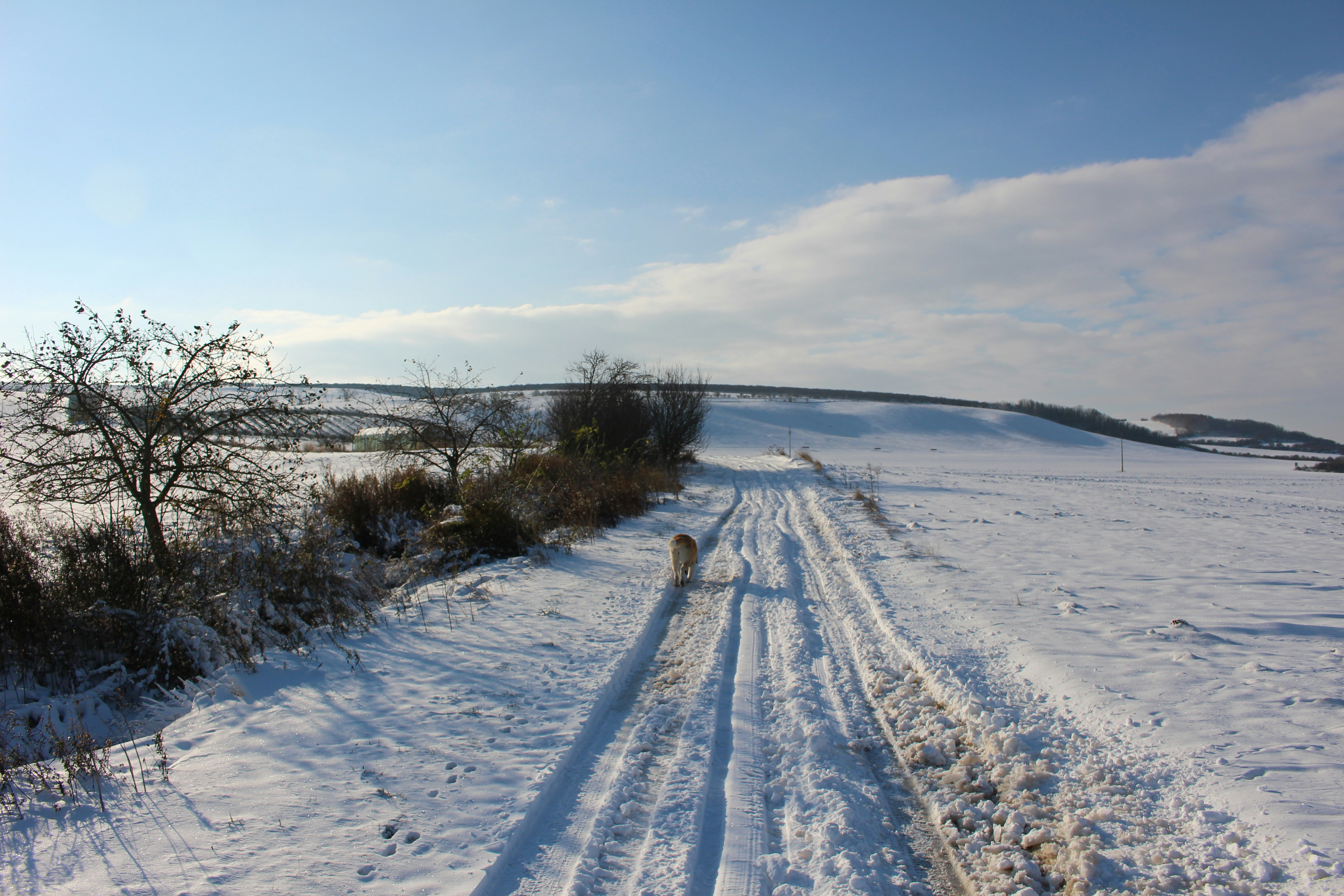 Photo by marjorylucabaxter