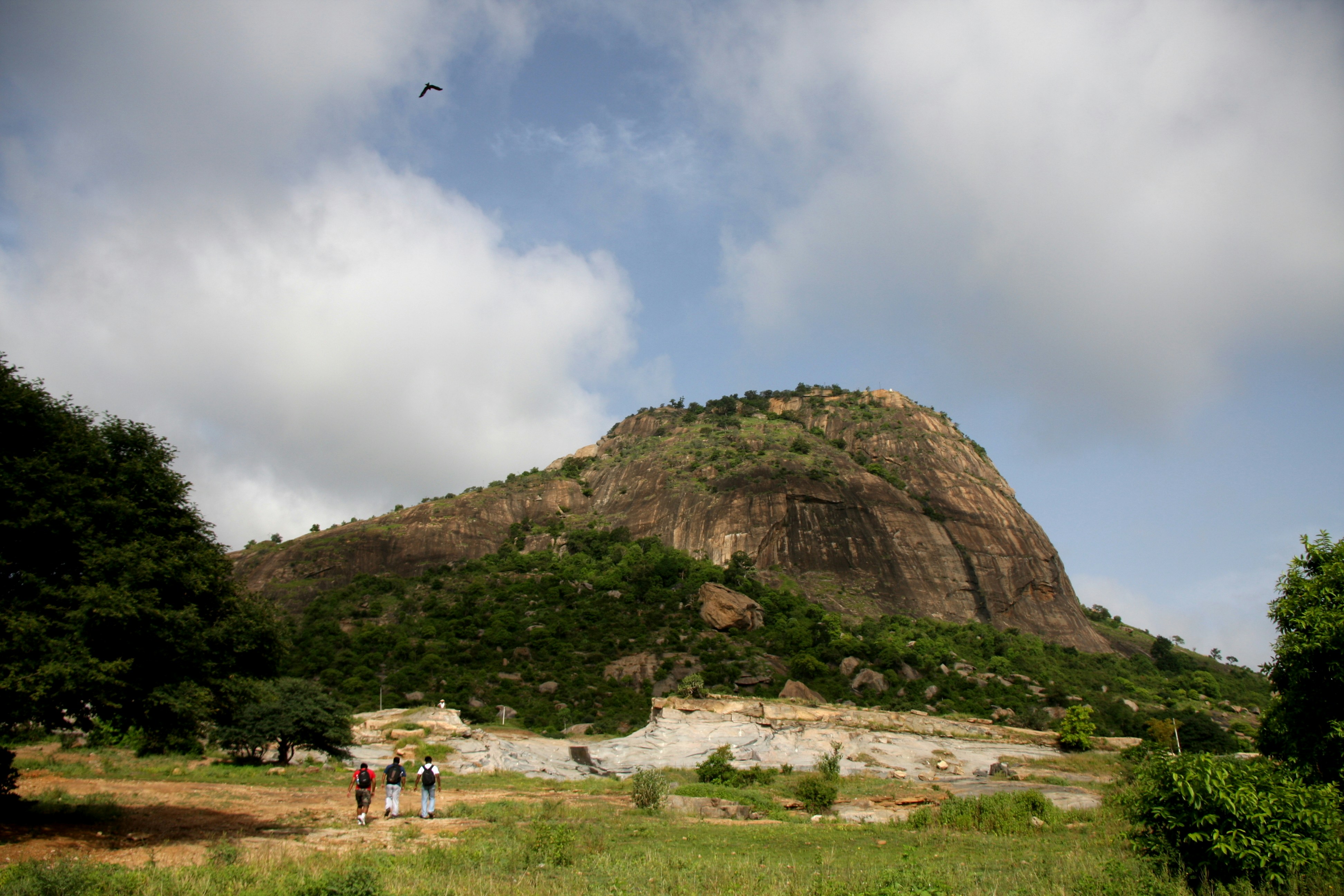 a group of people standing on top of a lush green hillside
