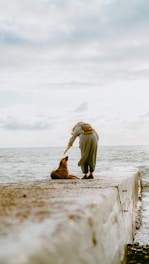 a person and a dog on a beach