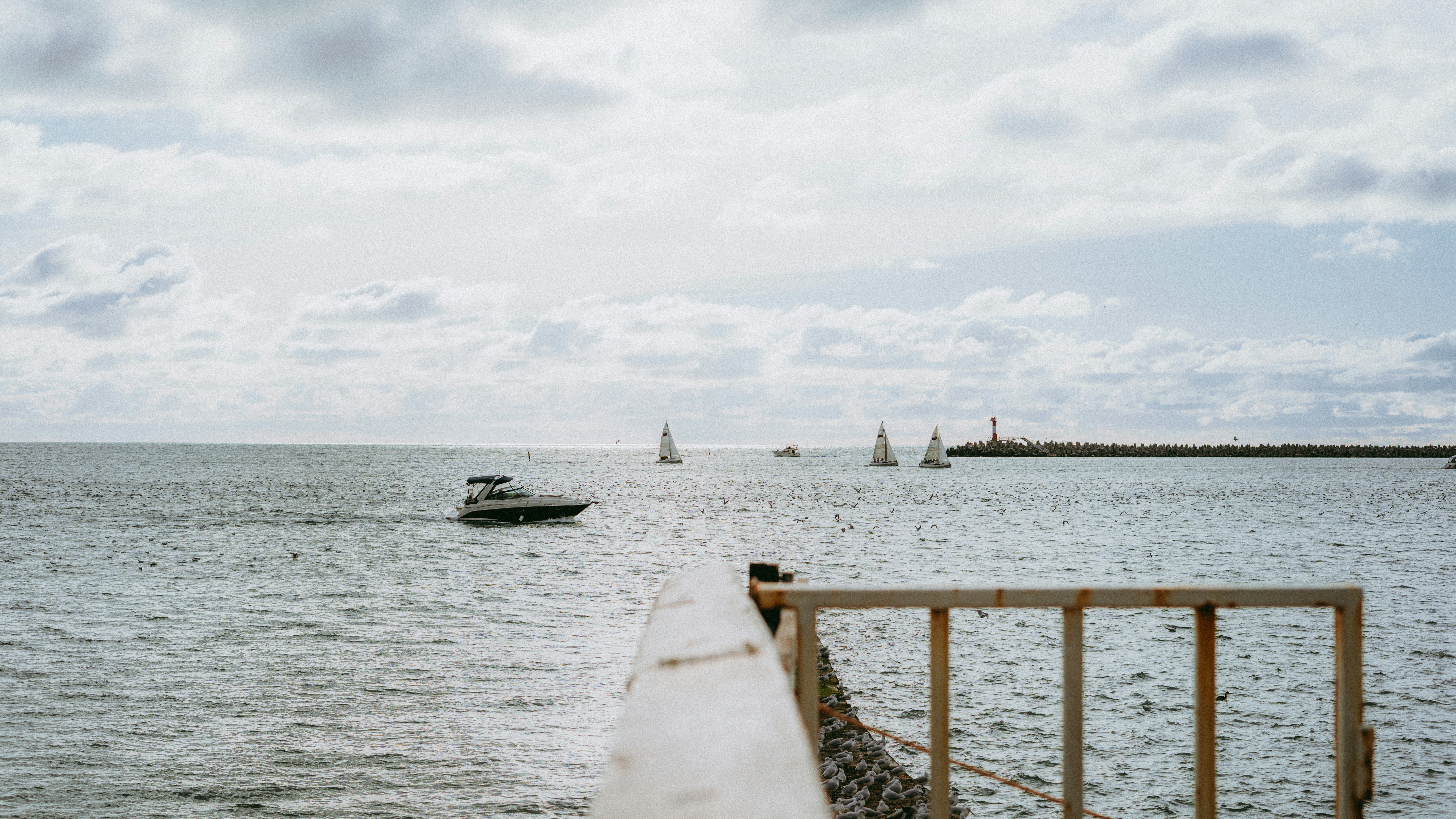 Photo by sergeyuxui