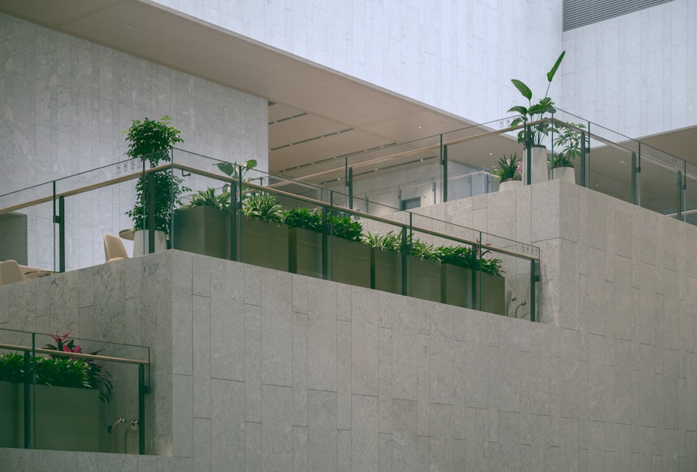 Un edificio con plantas que crecen en los balcones
