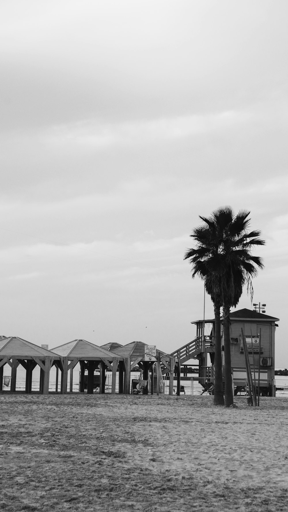 a black and white photo of a pier and palm tree