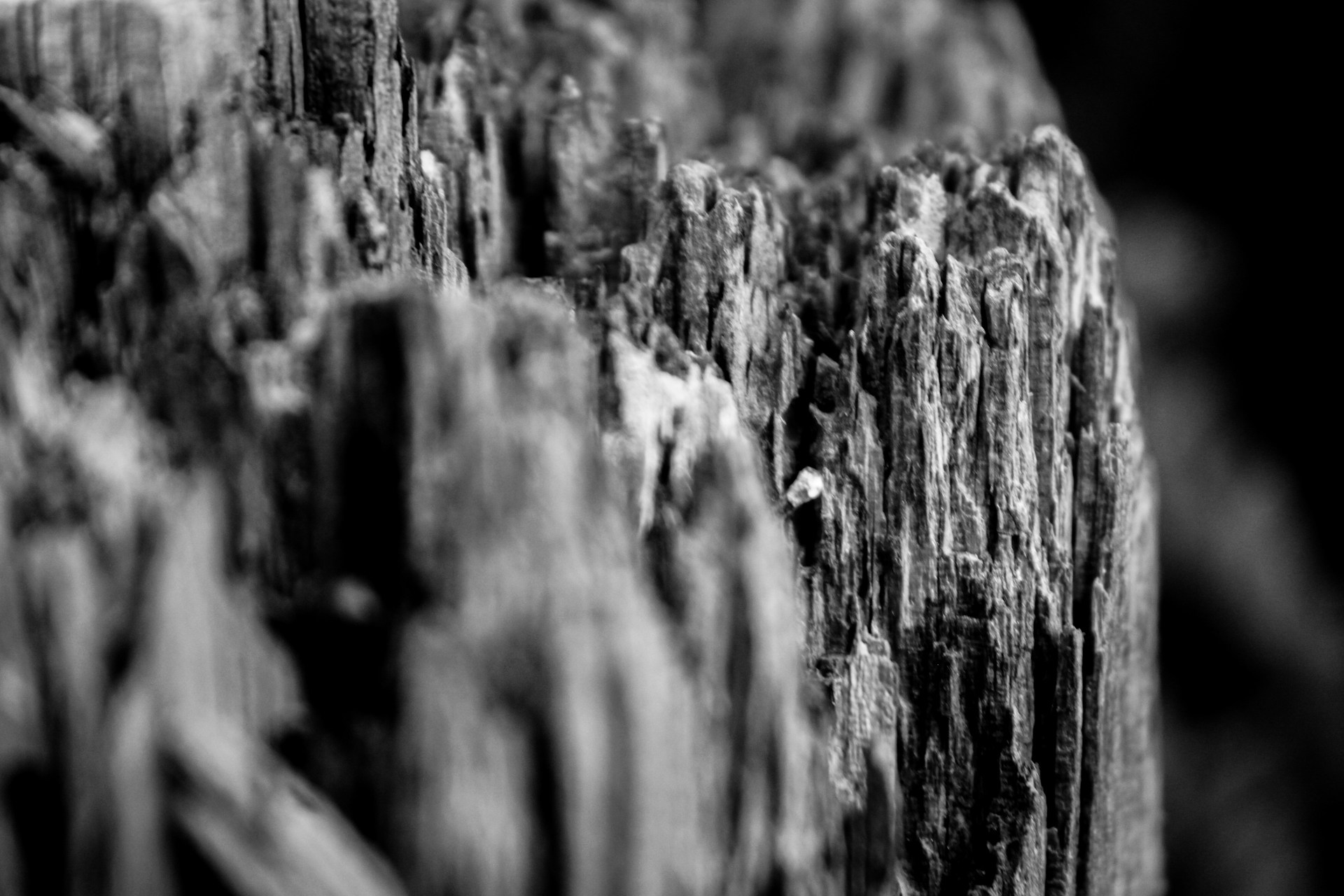 a close up of a wooden fence post