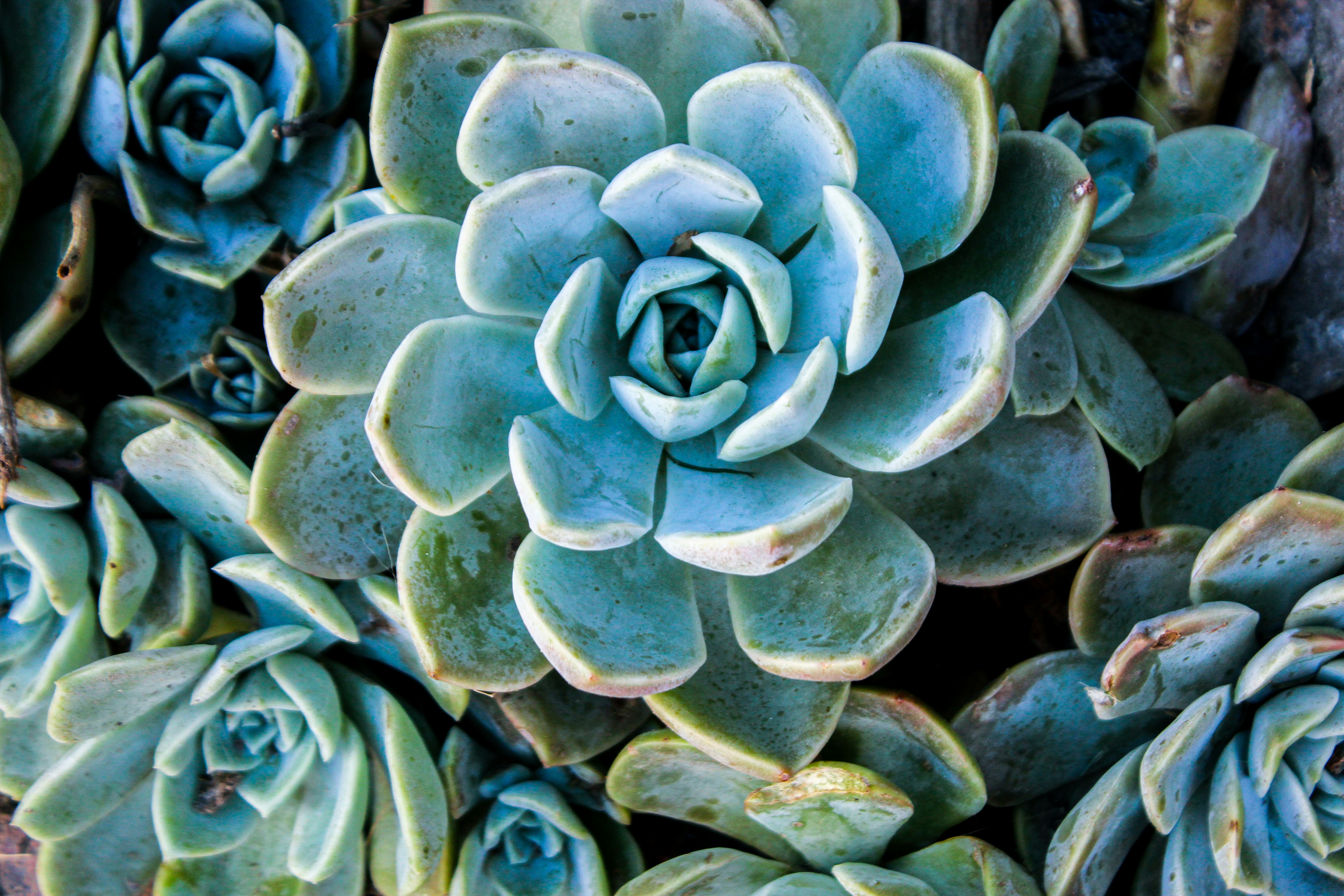 Photo by picture_this_photography