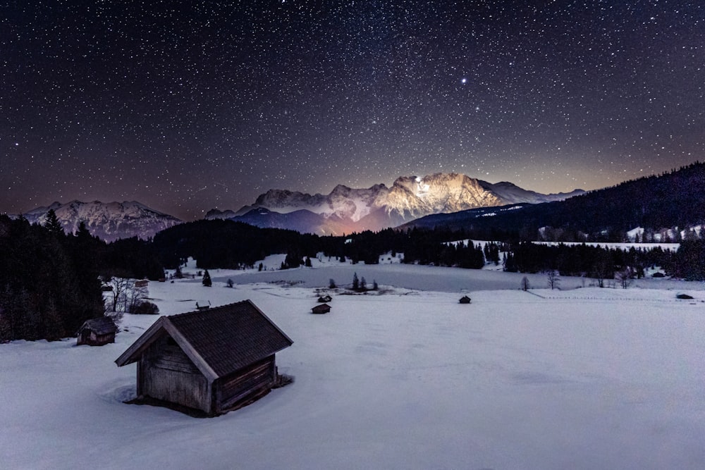 a cabin in the middle of a snowy field