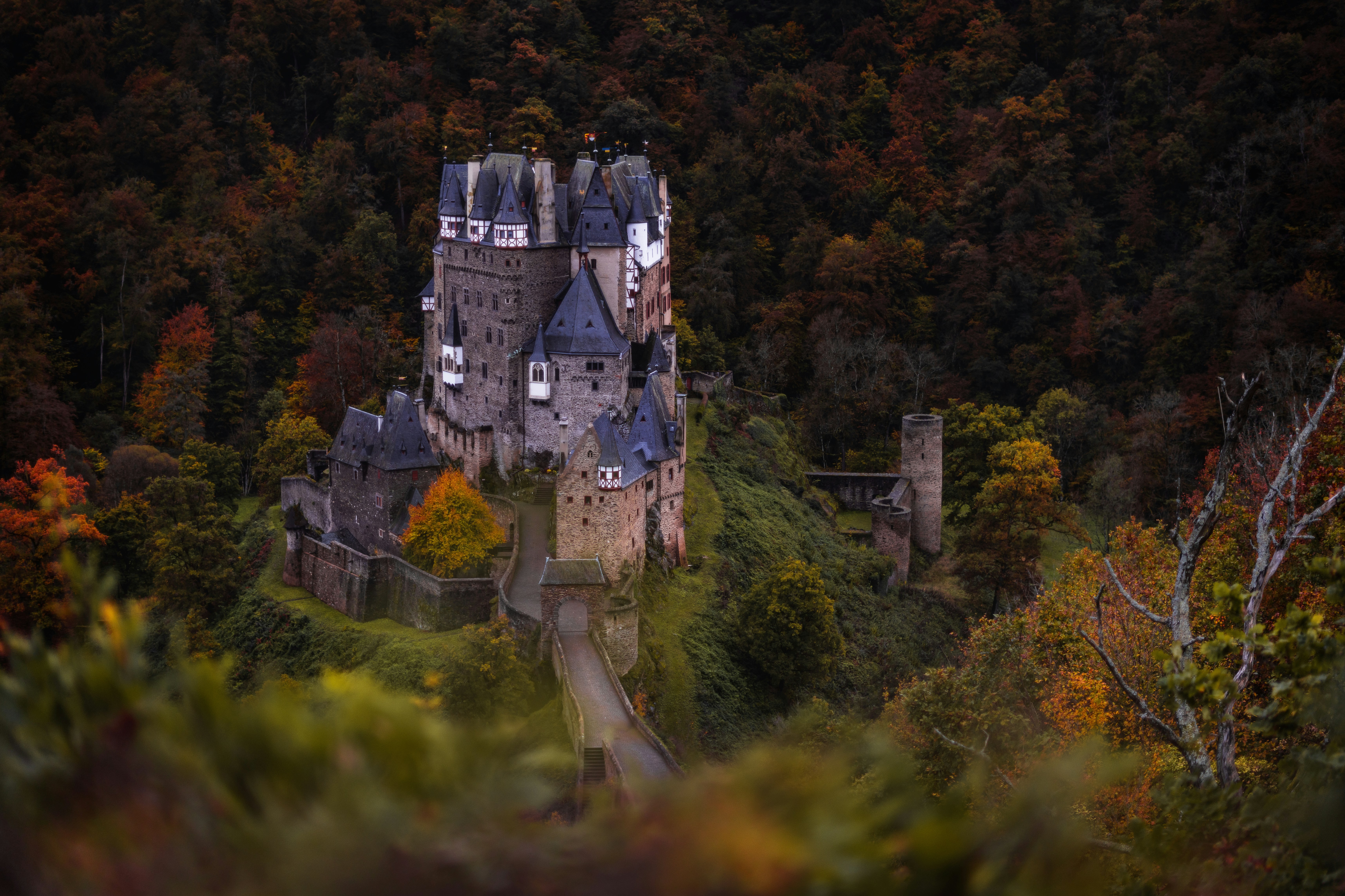 an aerial view of a castle surrounded by trees