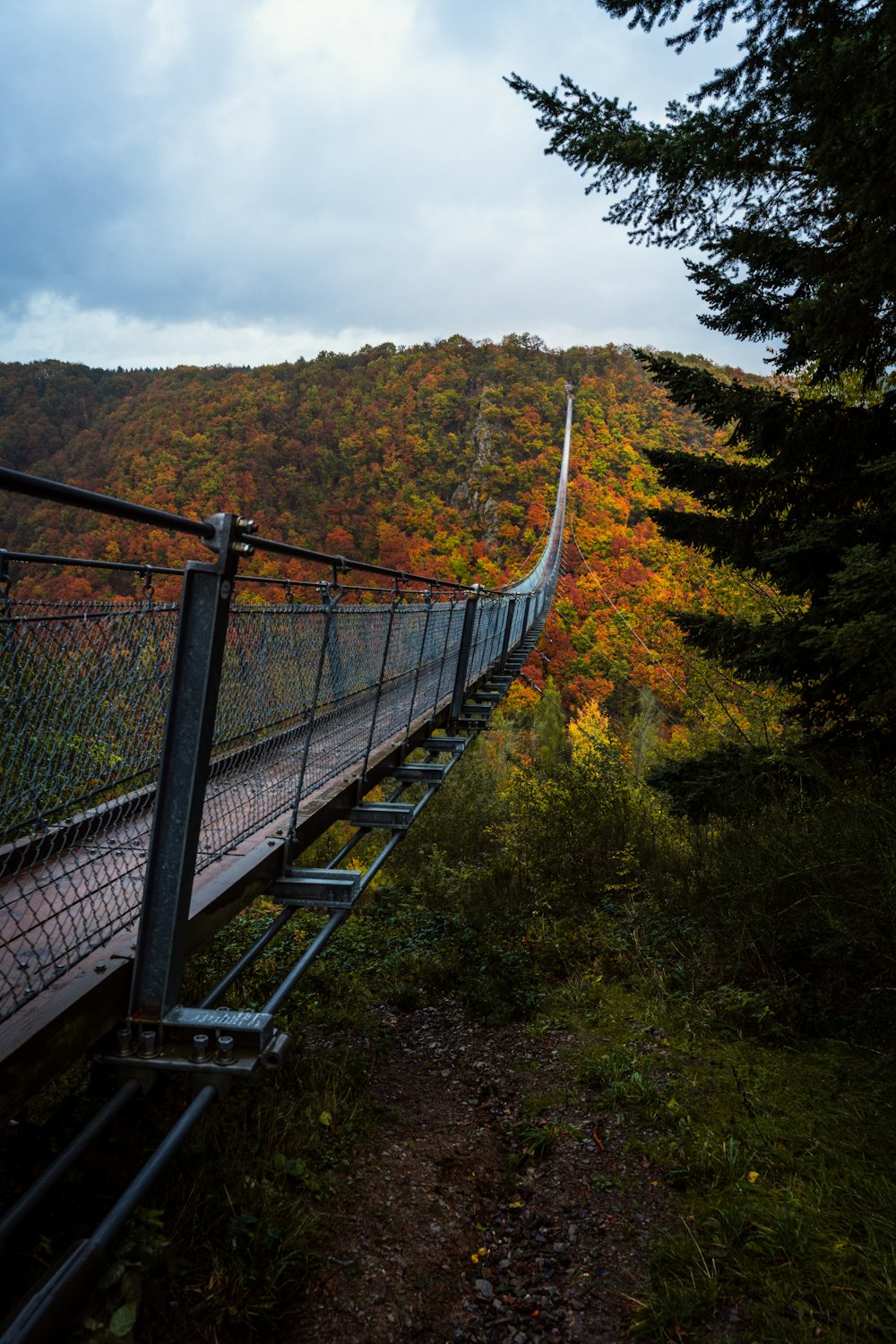 a long suspension bridge in the middle of a forest