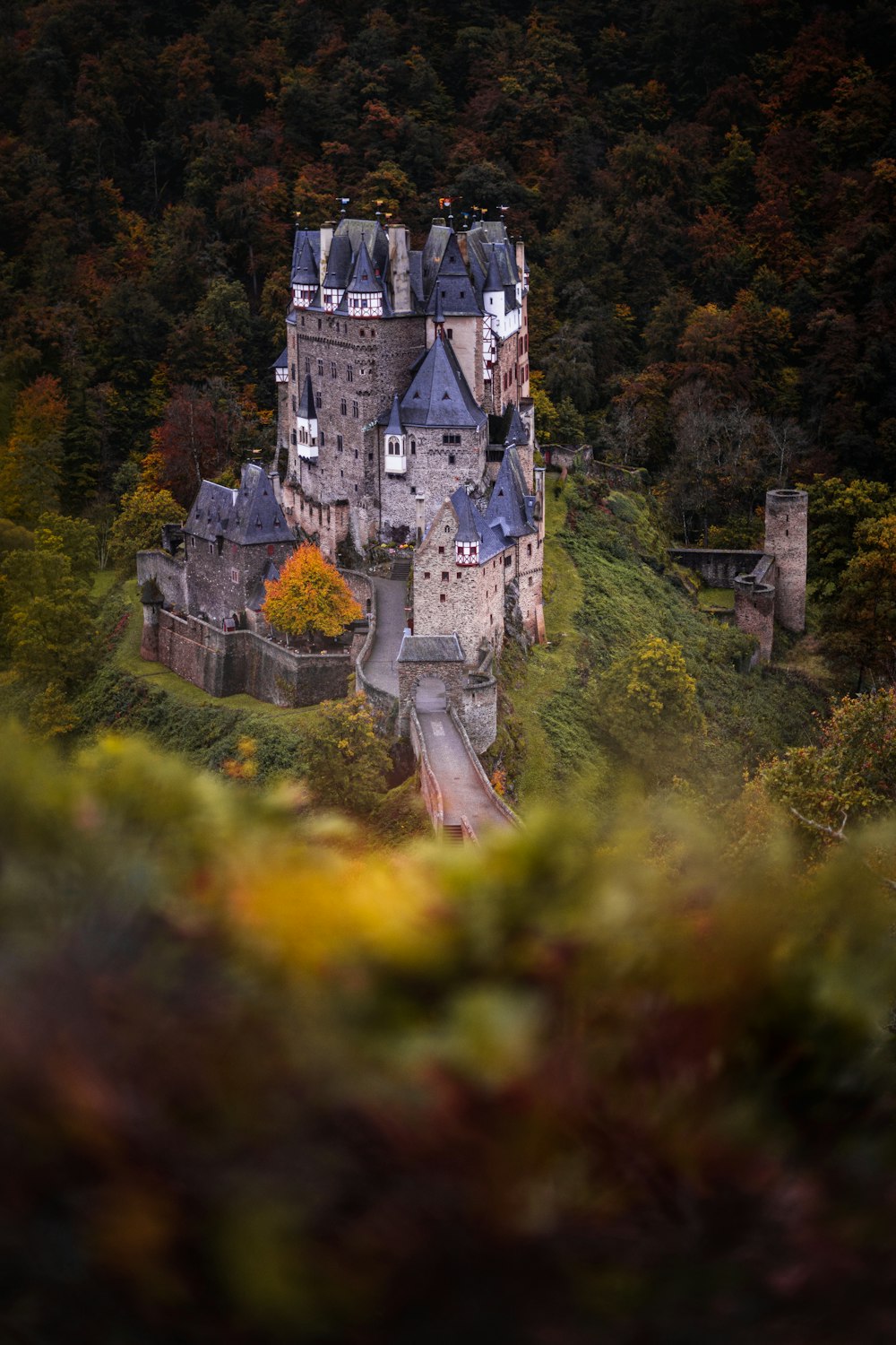 an aerial view of a castle surrounded by trees