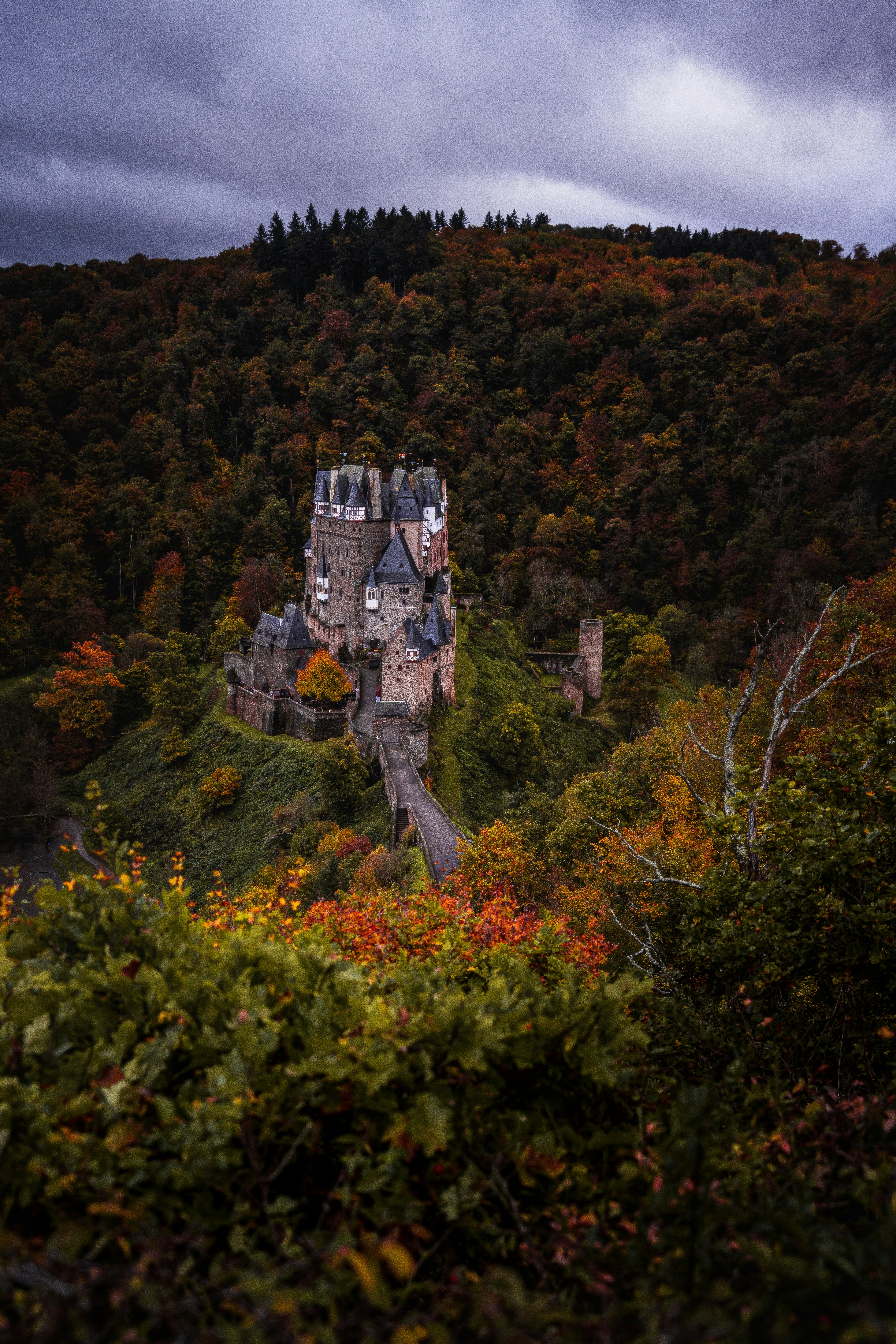 a castle on top of a hill surrounded by trees
