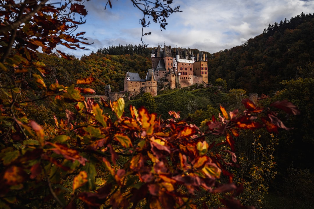 Afbeelding van Eltz