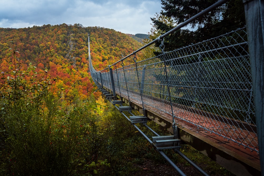 a long suspension bridge in the middle of a forest