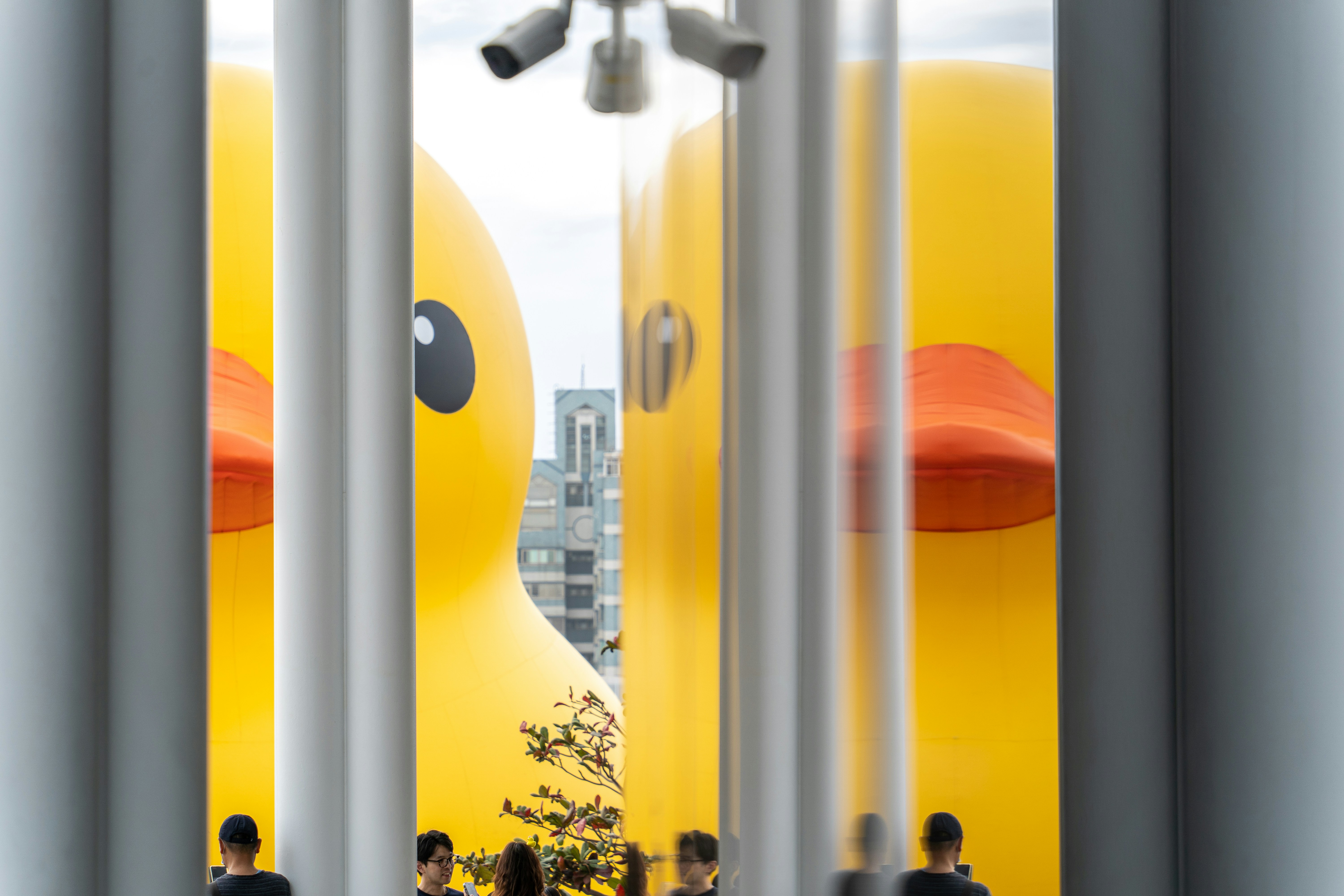 Photo by winstonchen