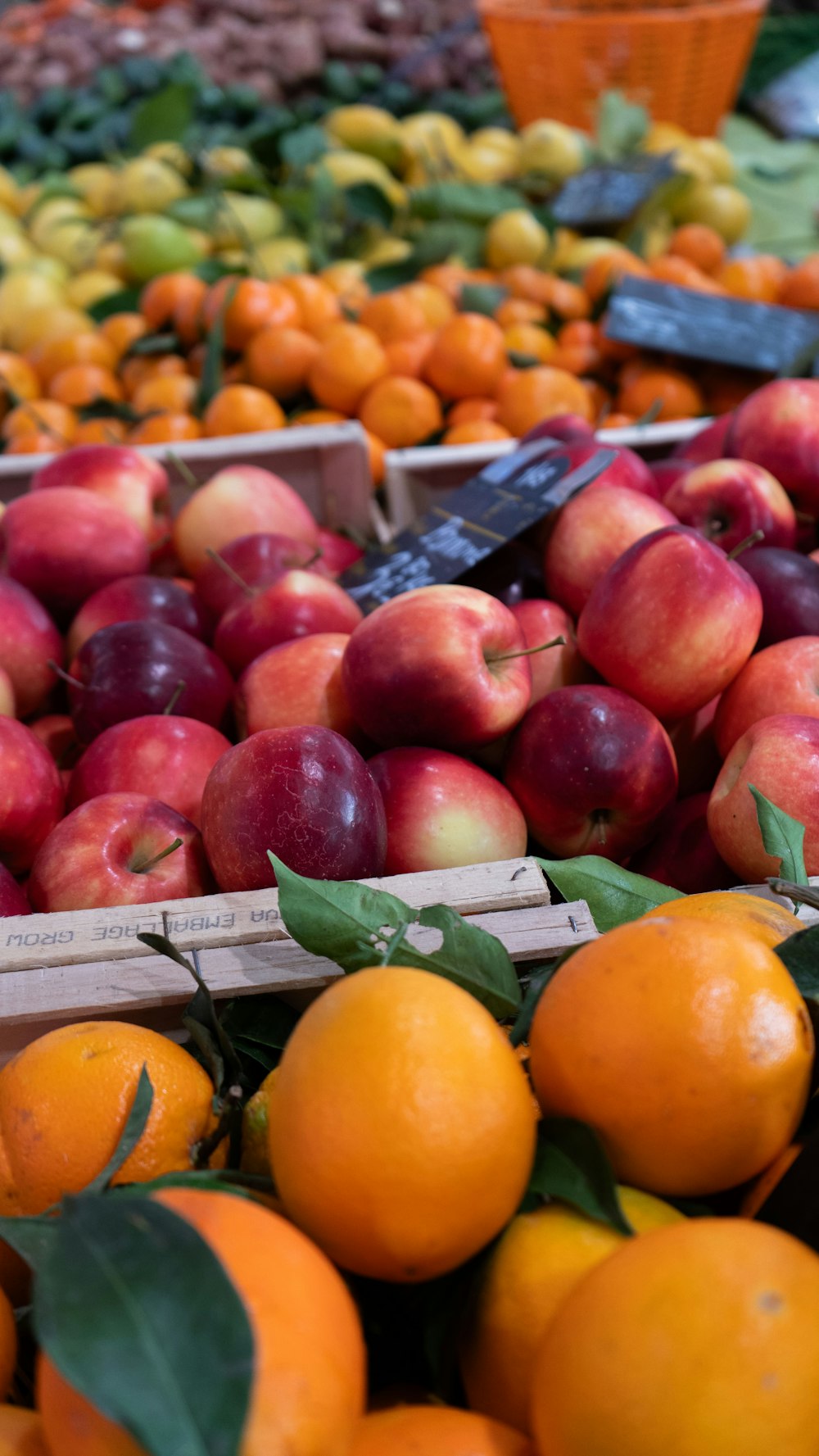 a pile of apples and oranges sitting next to each other