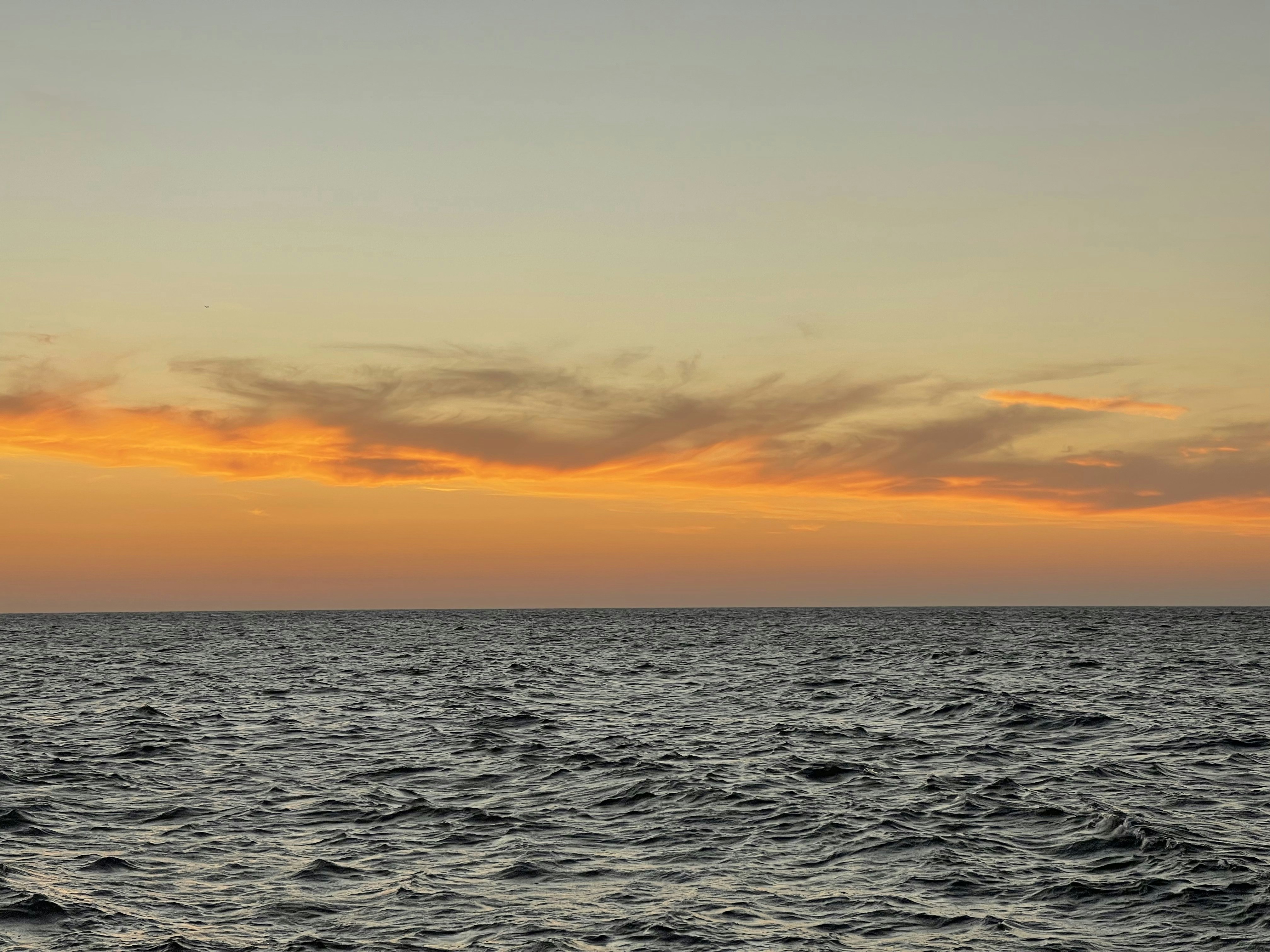 Photo by malikashine