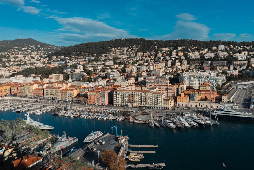 a marina with boats and a city in the background