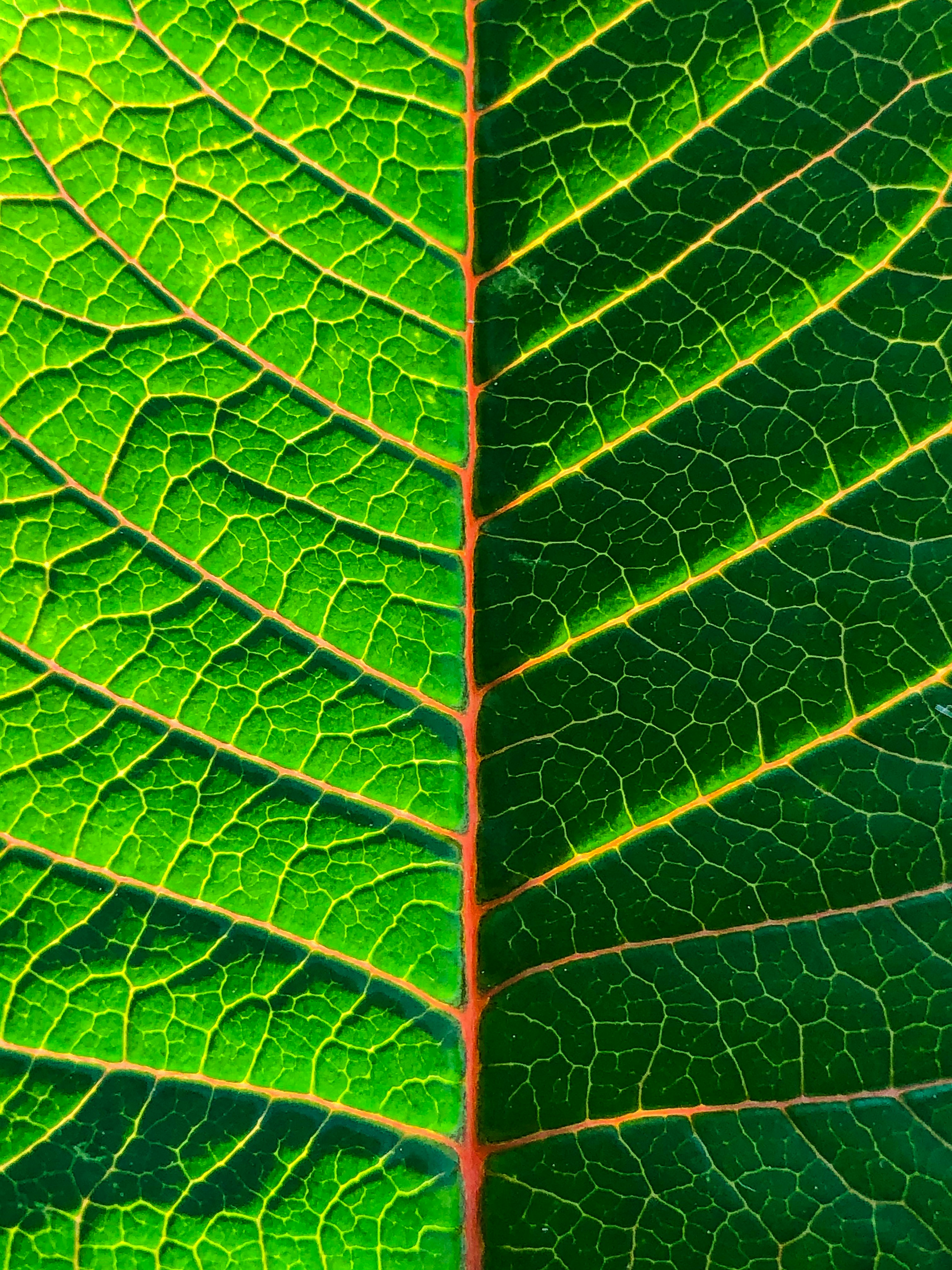 Photo by whereiskylenow