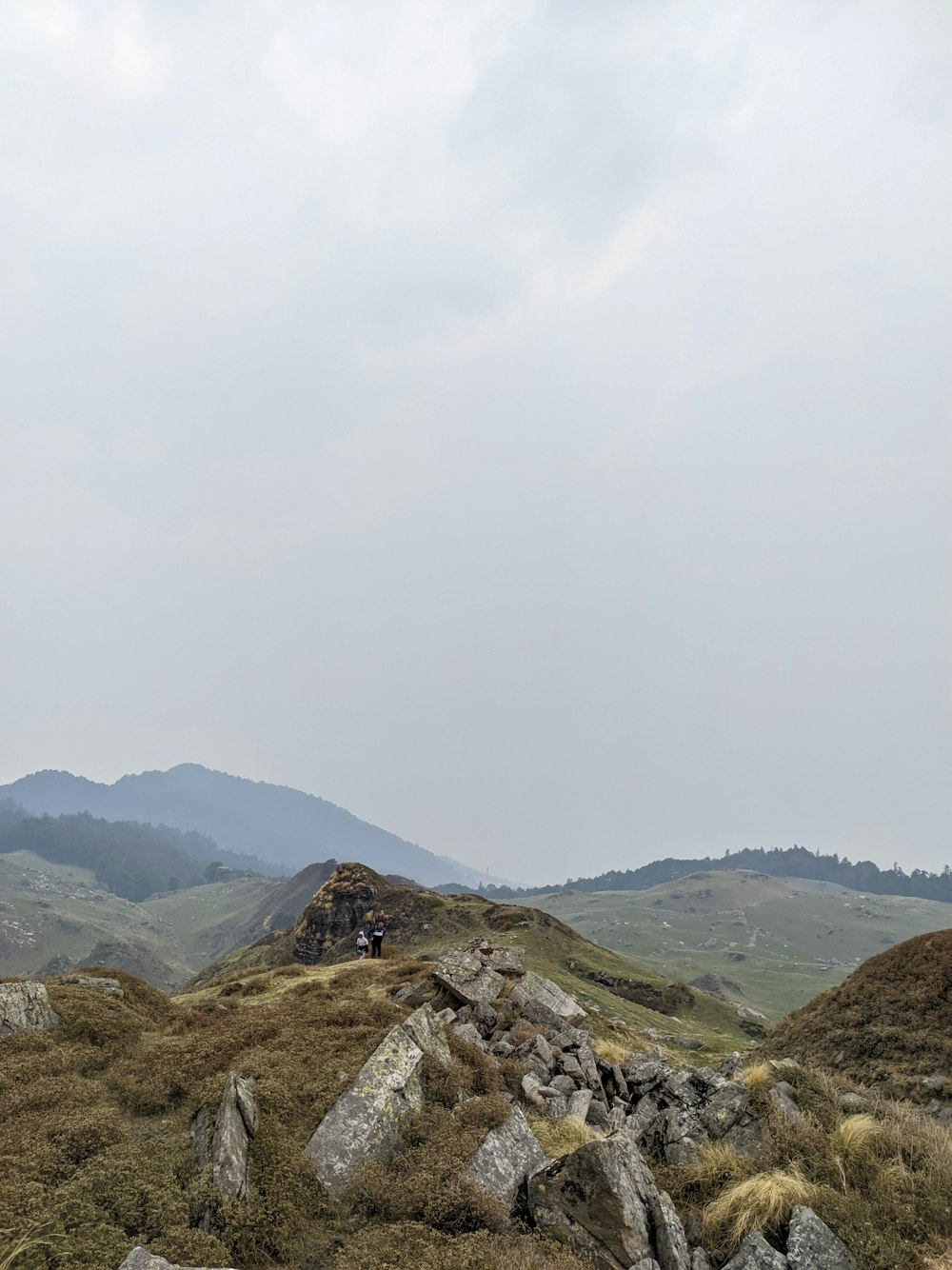 a man riding a horse on top of a lush green hillside