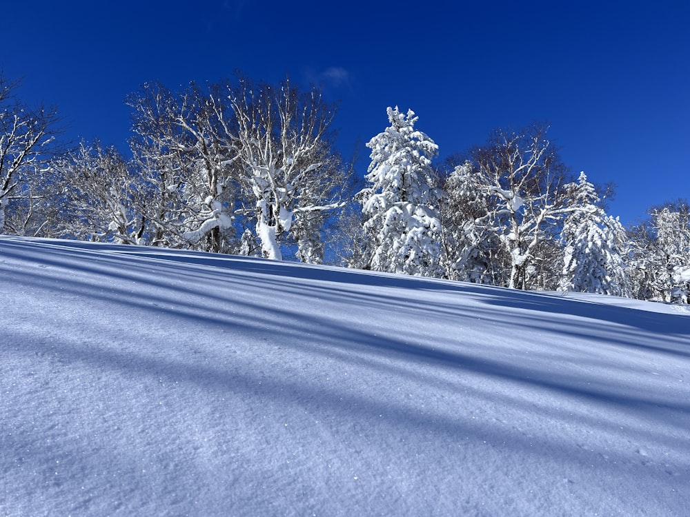 a snow covered hill with trees in the background