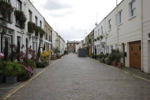 a cobblestone street lined with potted plants