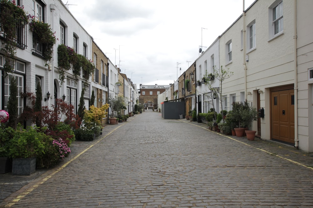 a cobblestone street lined with potted plants