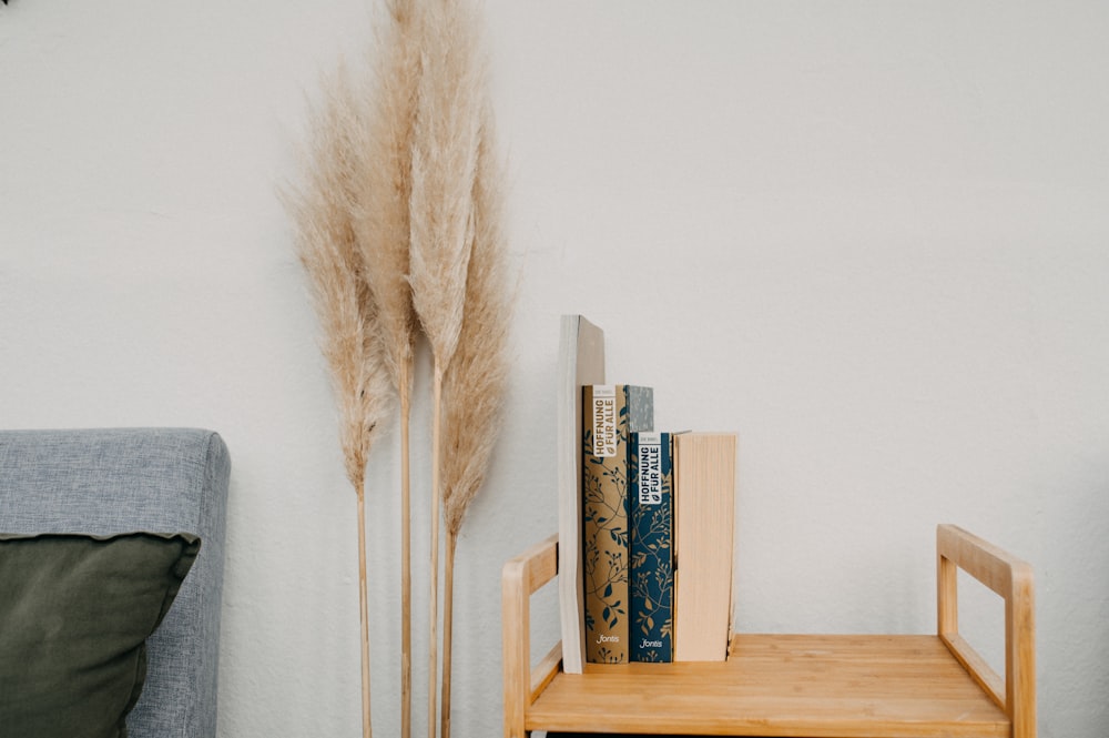 a book shelf with books and a plant next to it