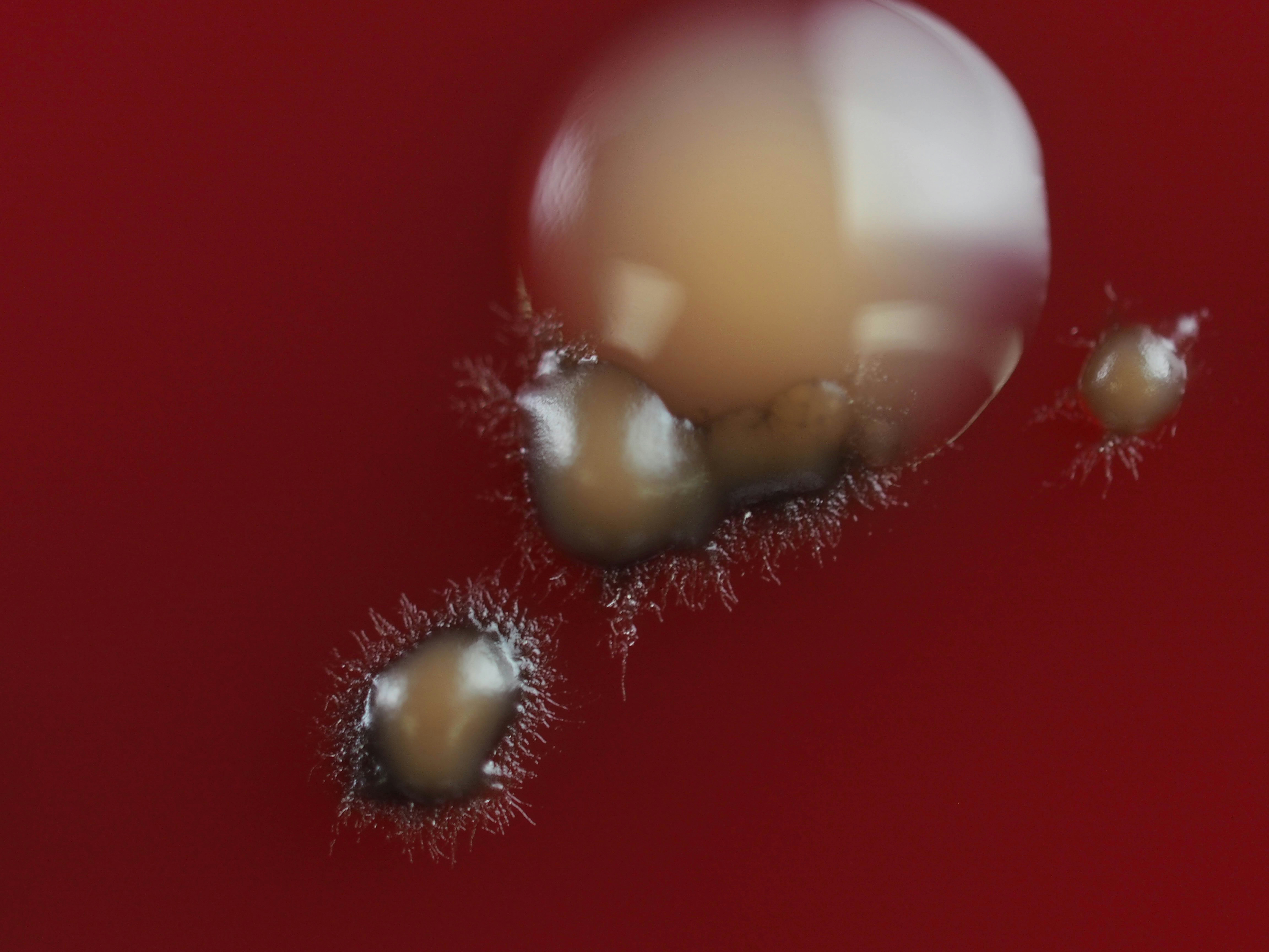 a close up of an object on a red background