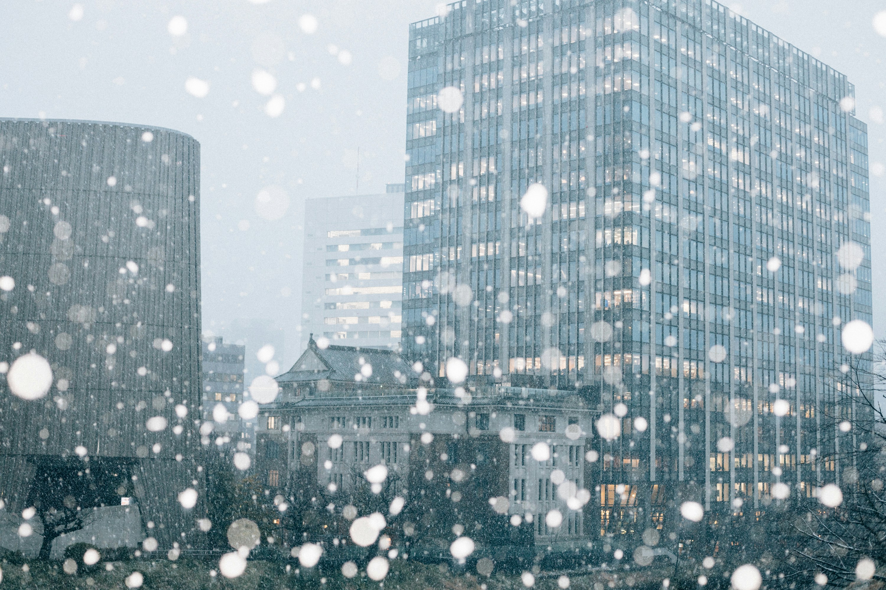 Photo by tsuyoshikozu