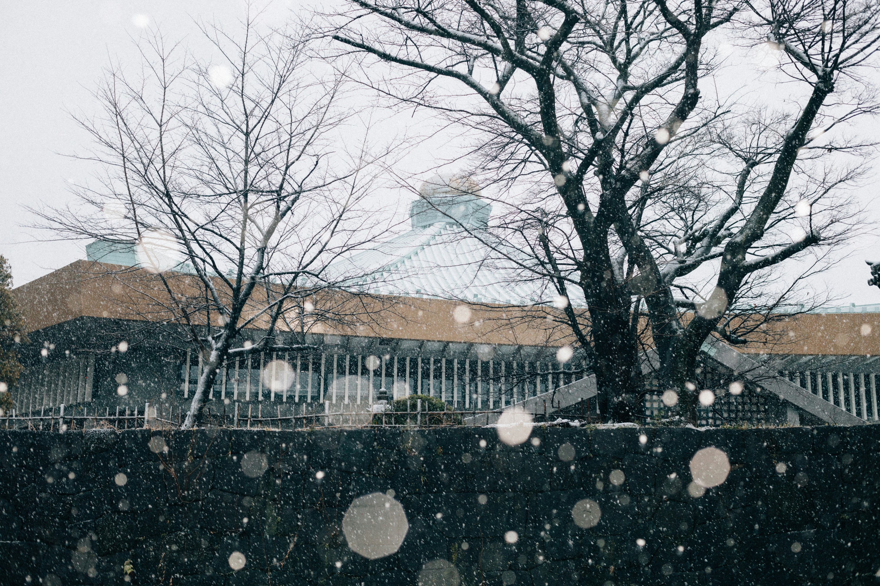 Photo by tsuyoshikozu